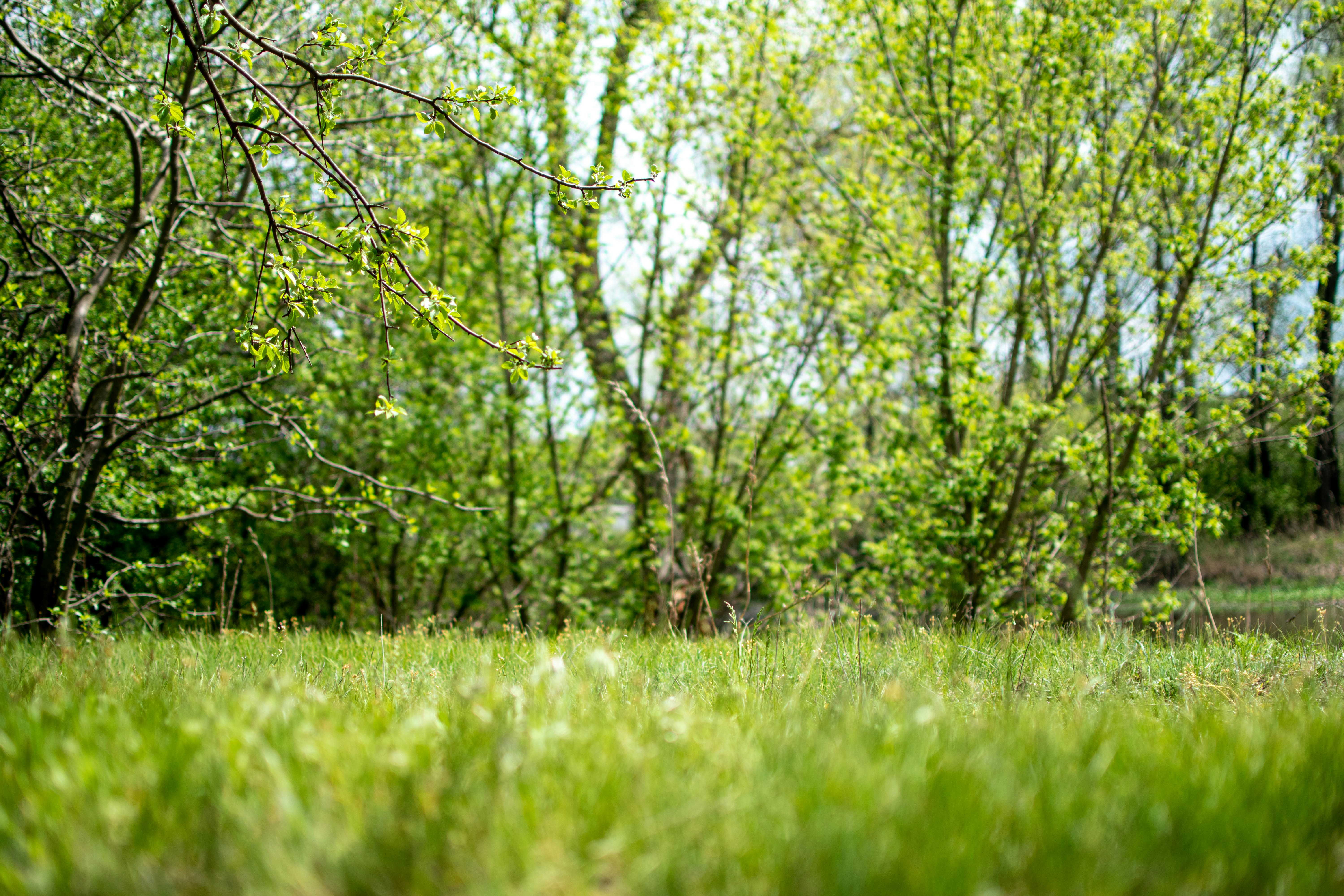 Photo by yevhen_stienin