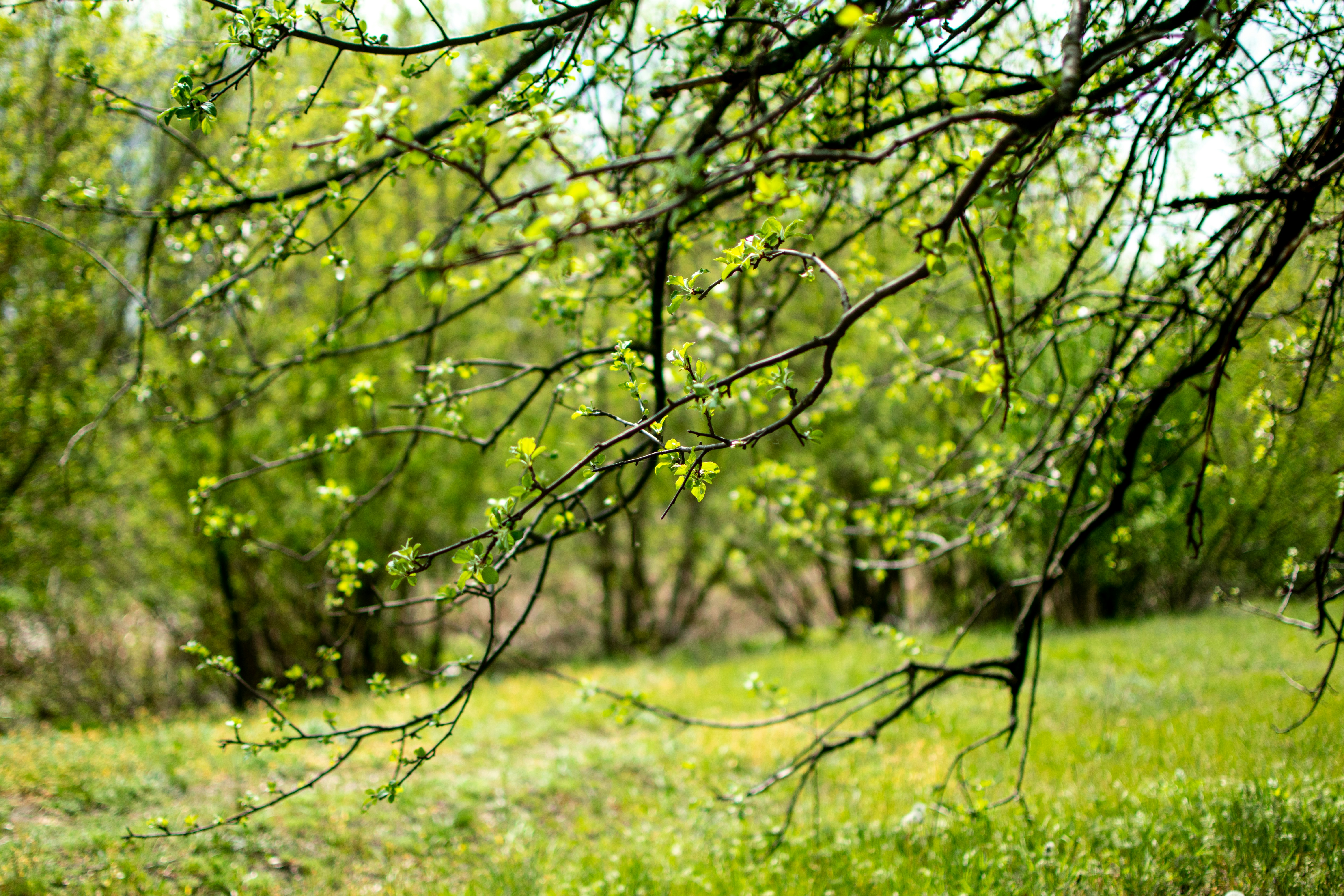 Photo by yevhen_stienin