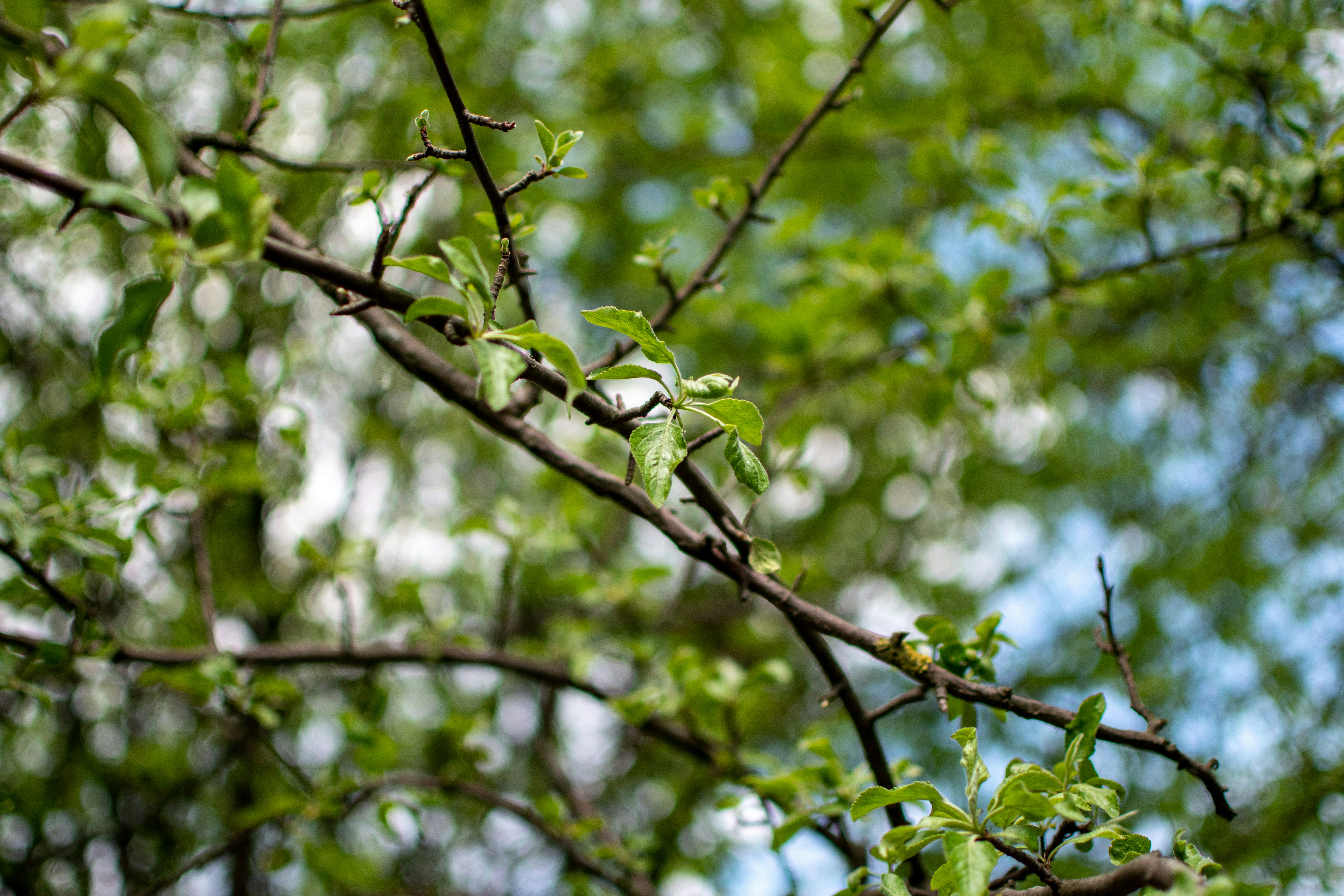 Photo by yevhen_stienin