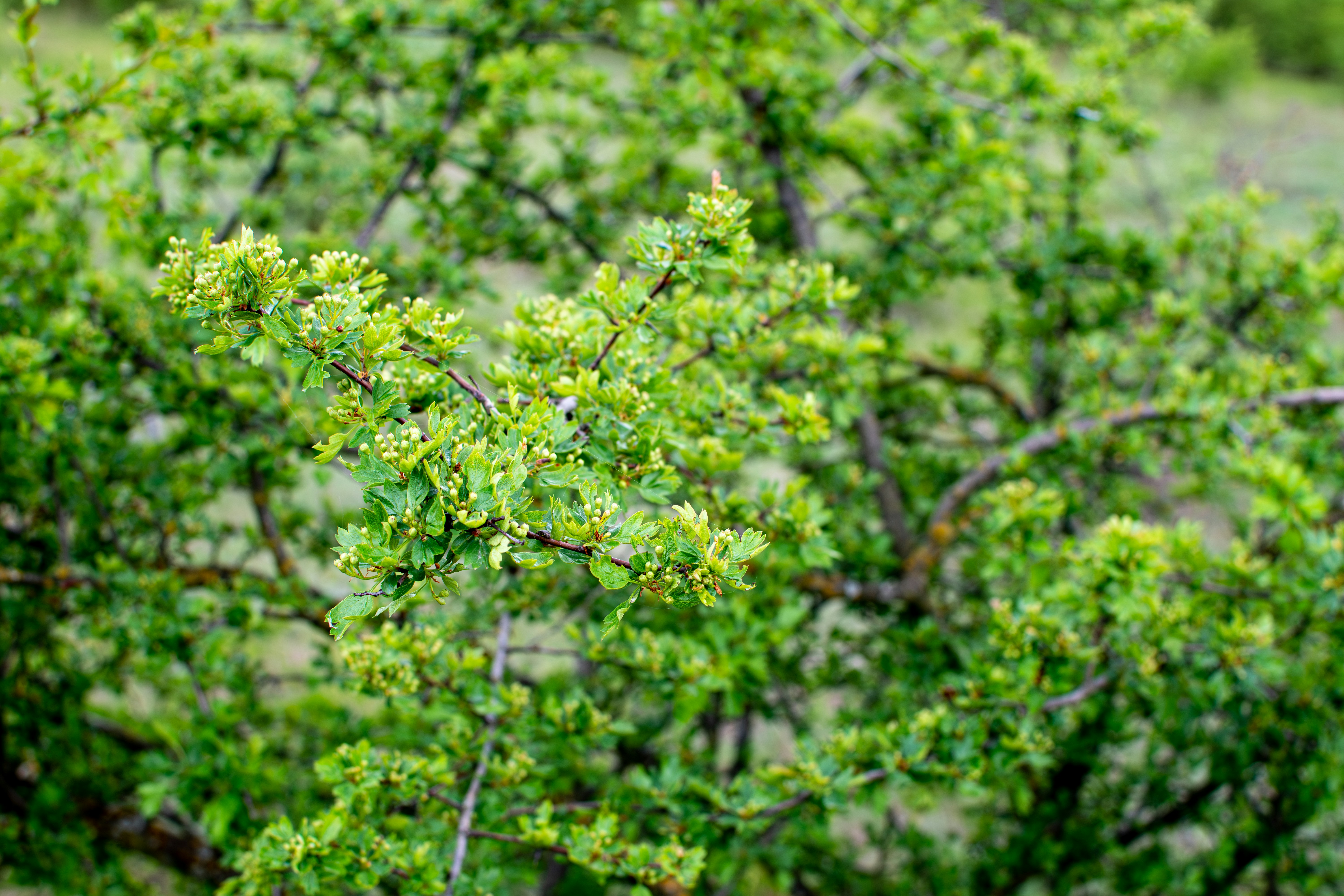 Photo by yevhen_stienin