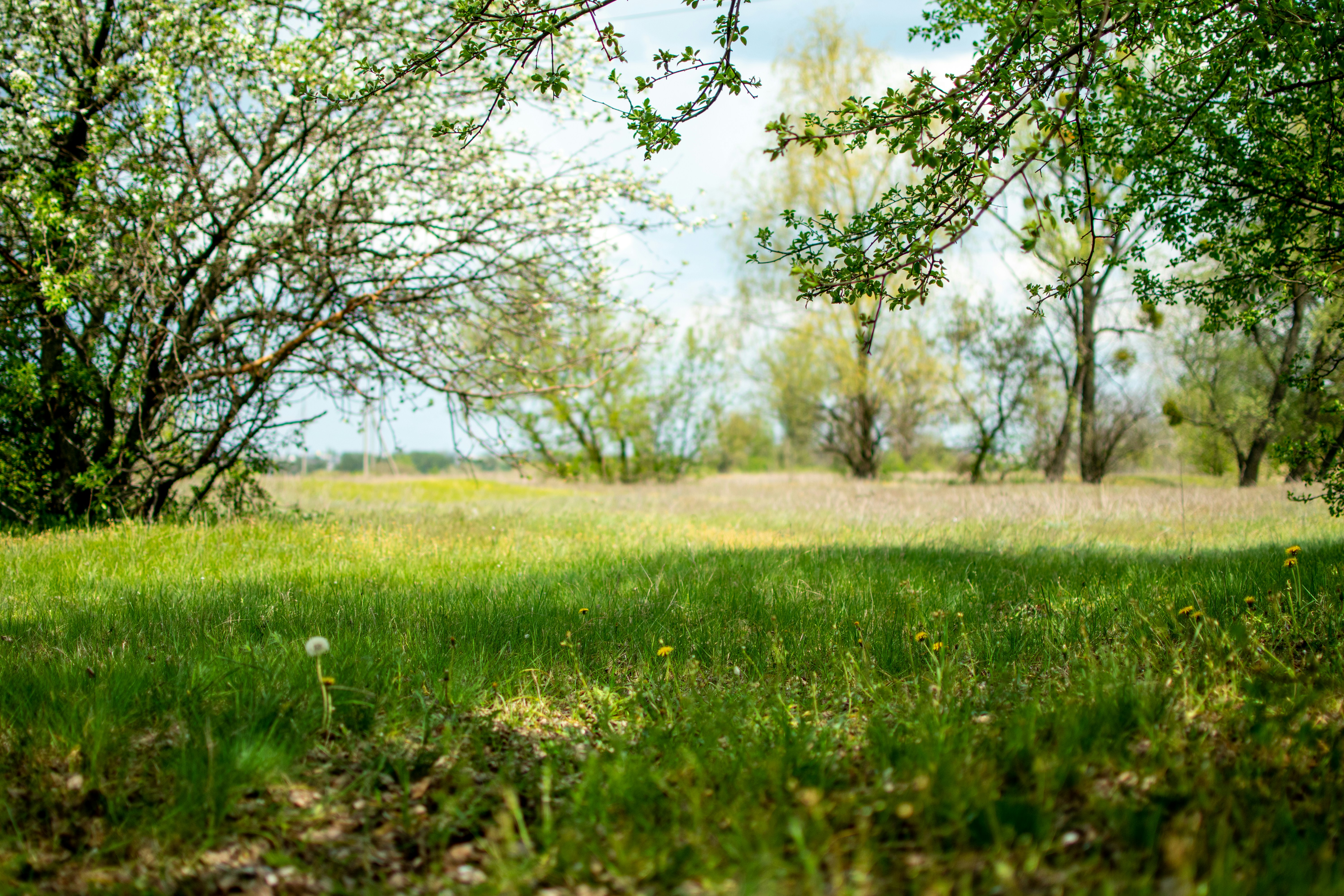 Photo by yevhen_stienin