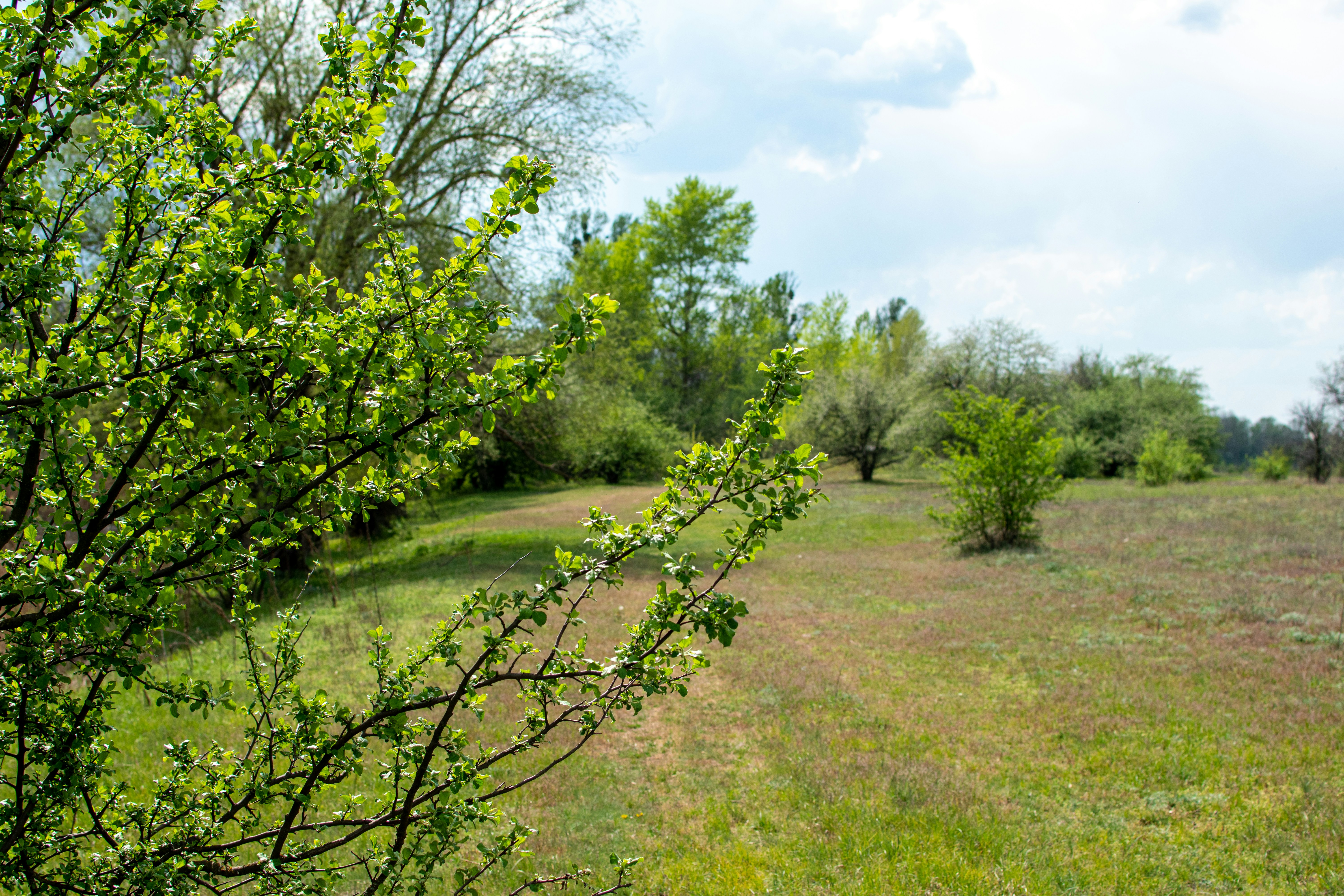 Photo by yevhen_stienin