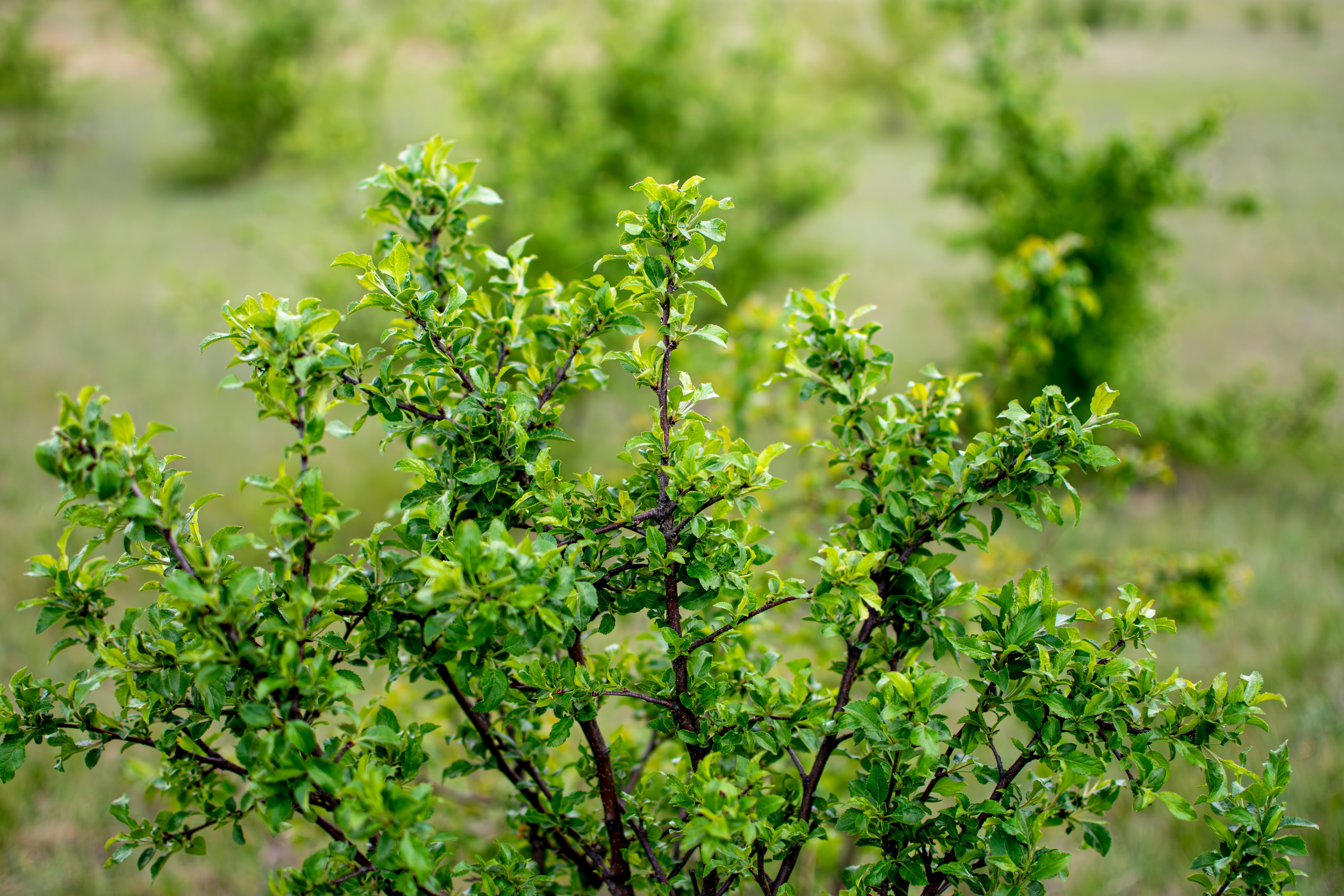 Photo by yevhen_stienin