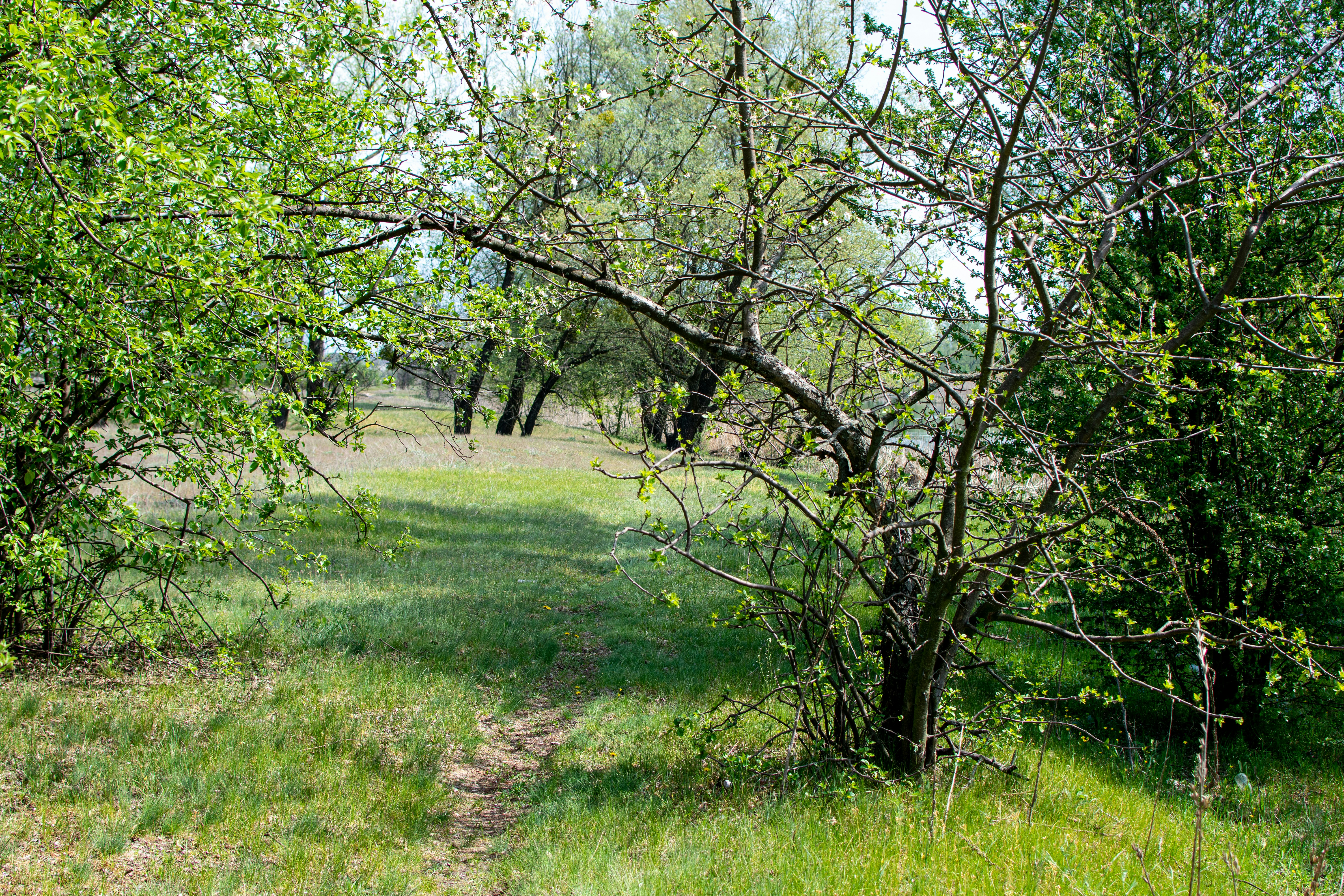 Photo by yevhen_stienin