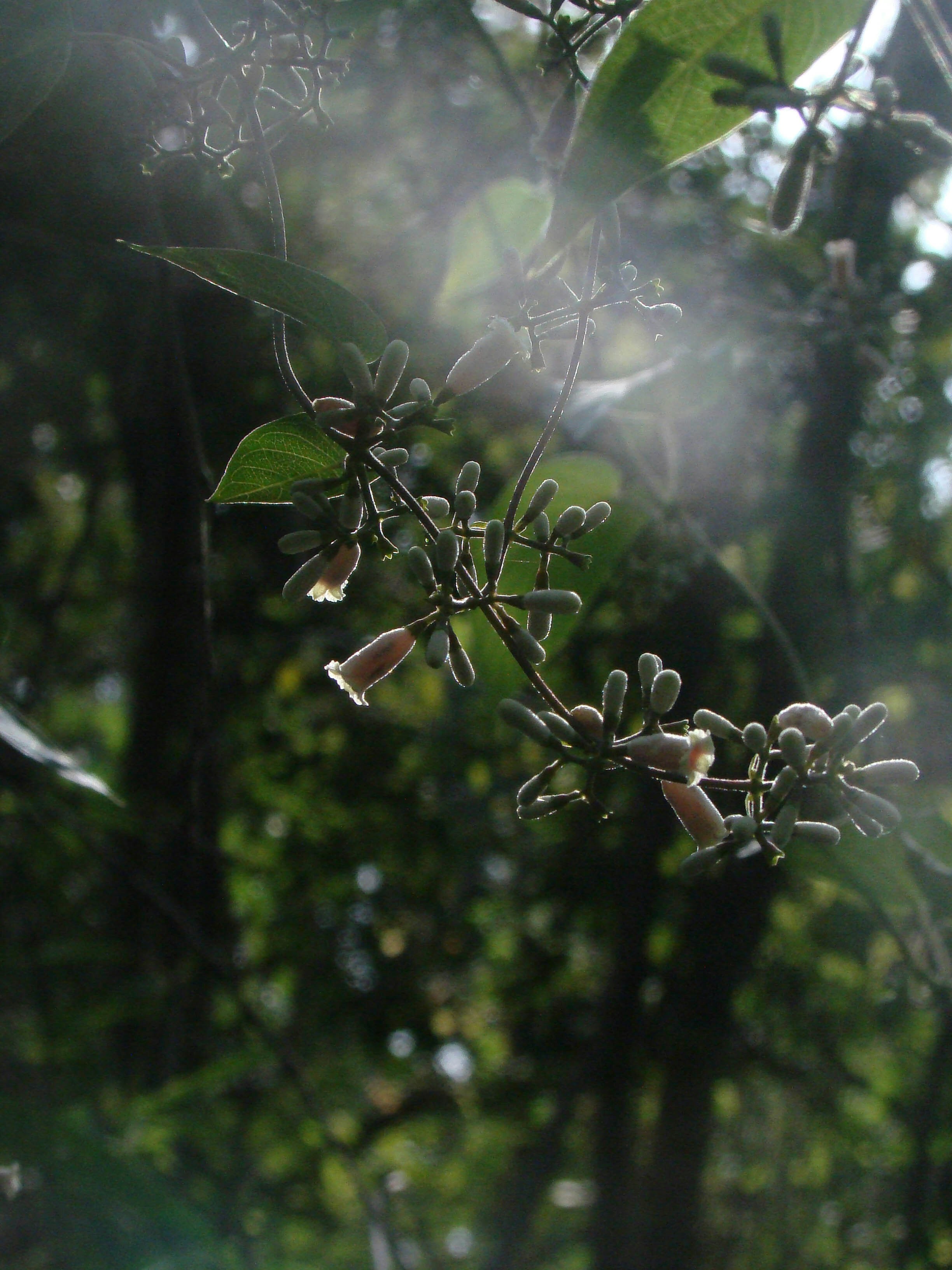 Photo by maro_of_sengu