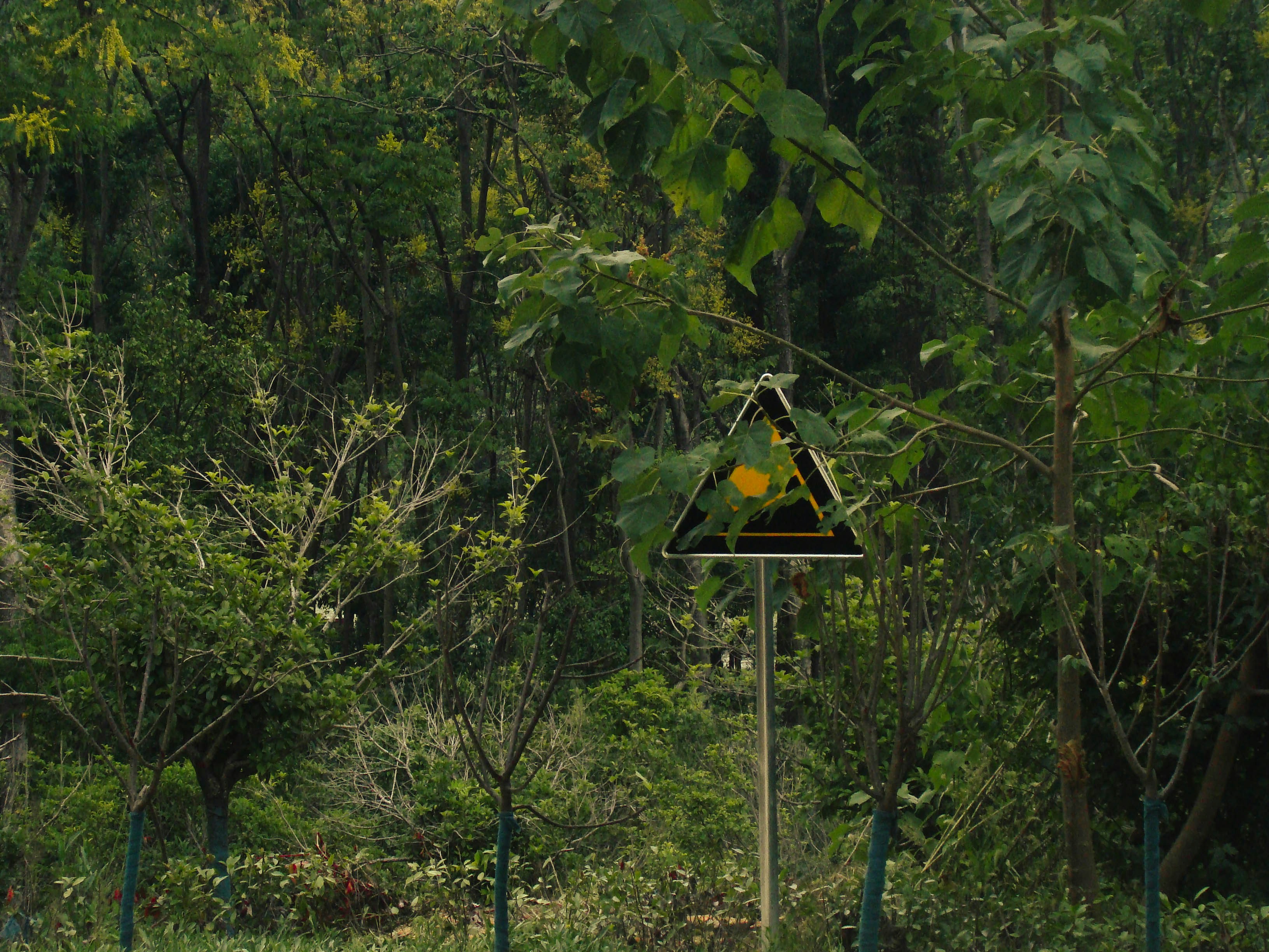 Photo by maro_of_sengu