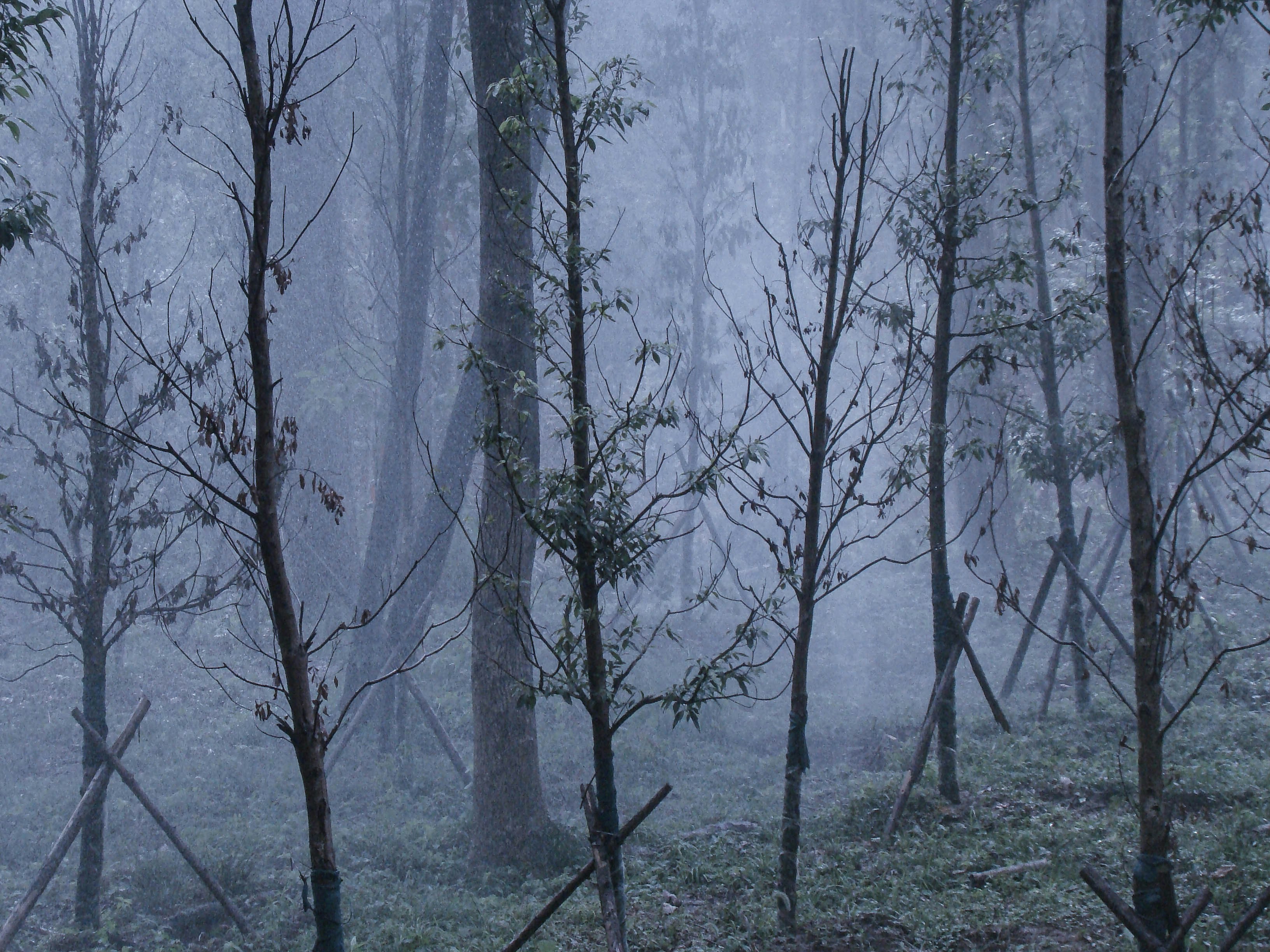 Photo by maro_of_sengu