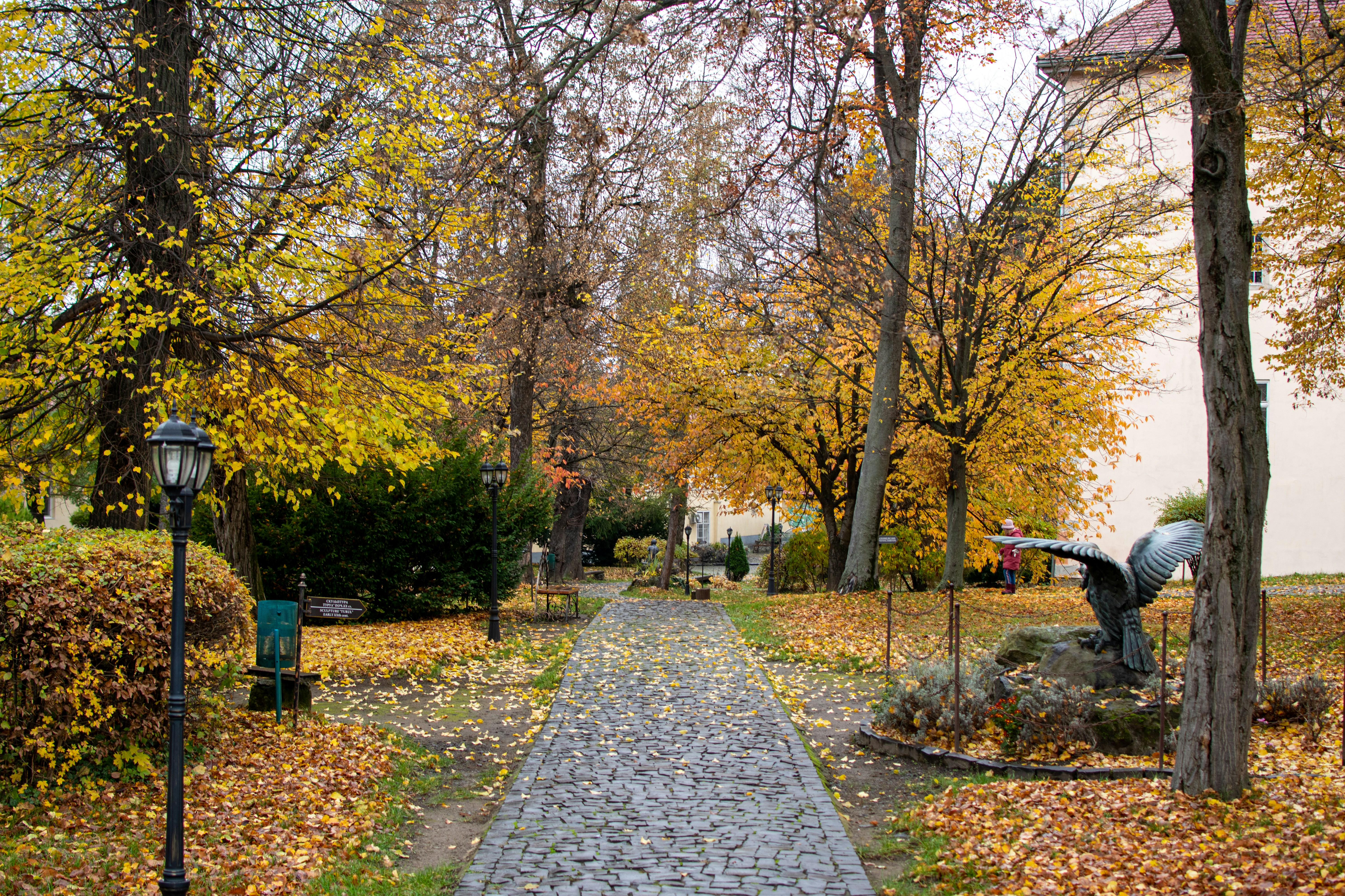 Photo by yevhen_stienin