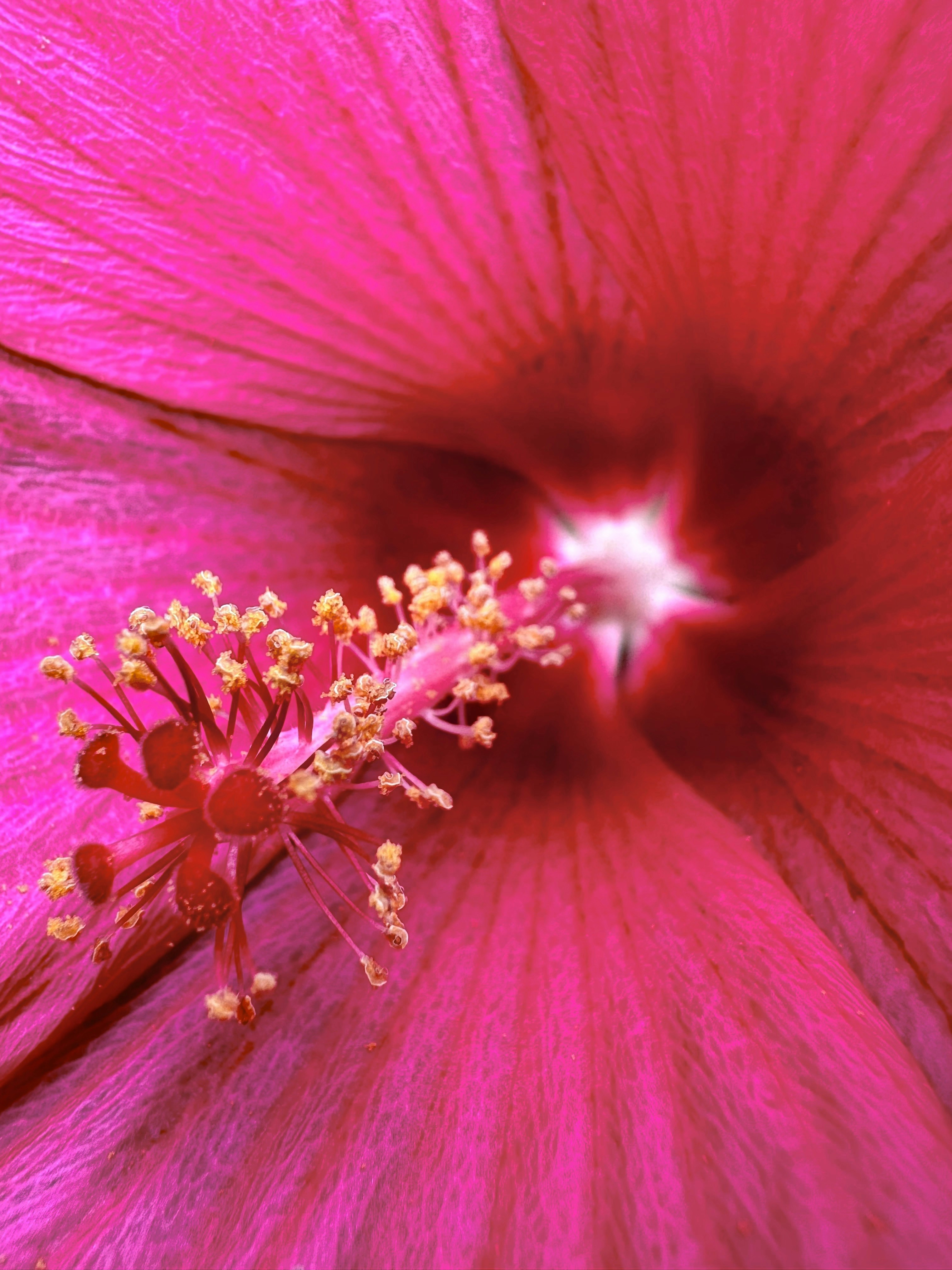 Photo by farruhabdujabborov