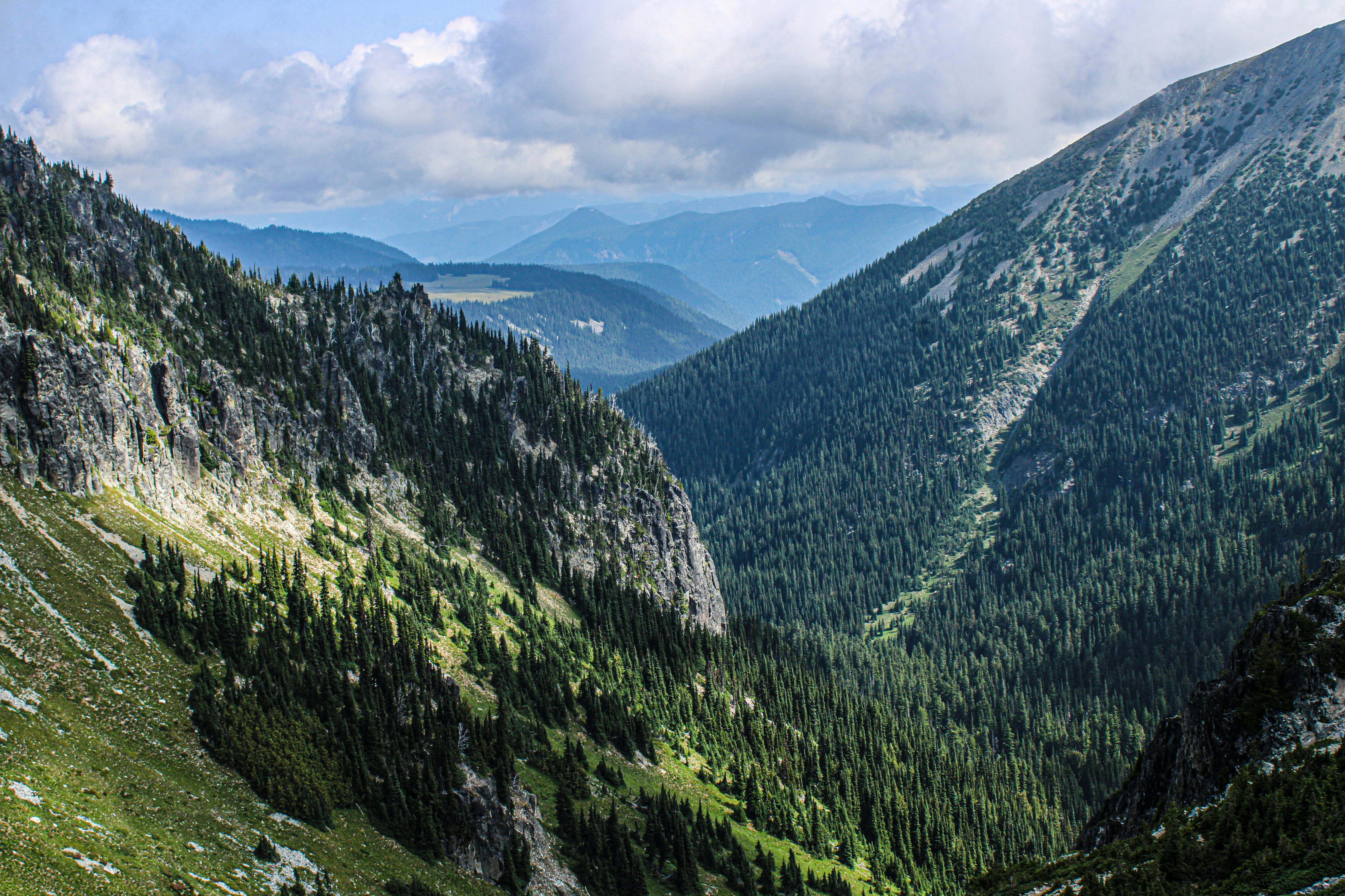 Photo by prphotography262