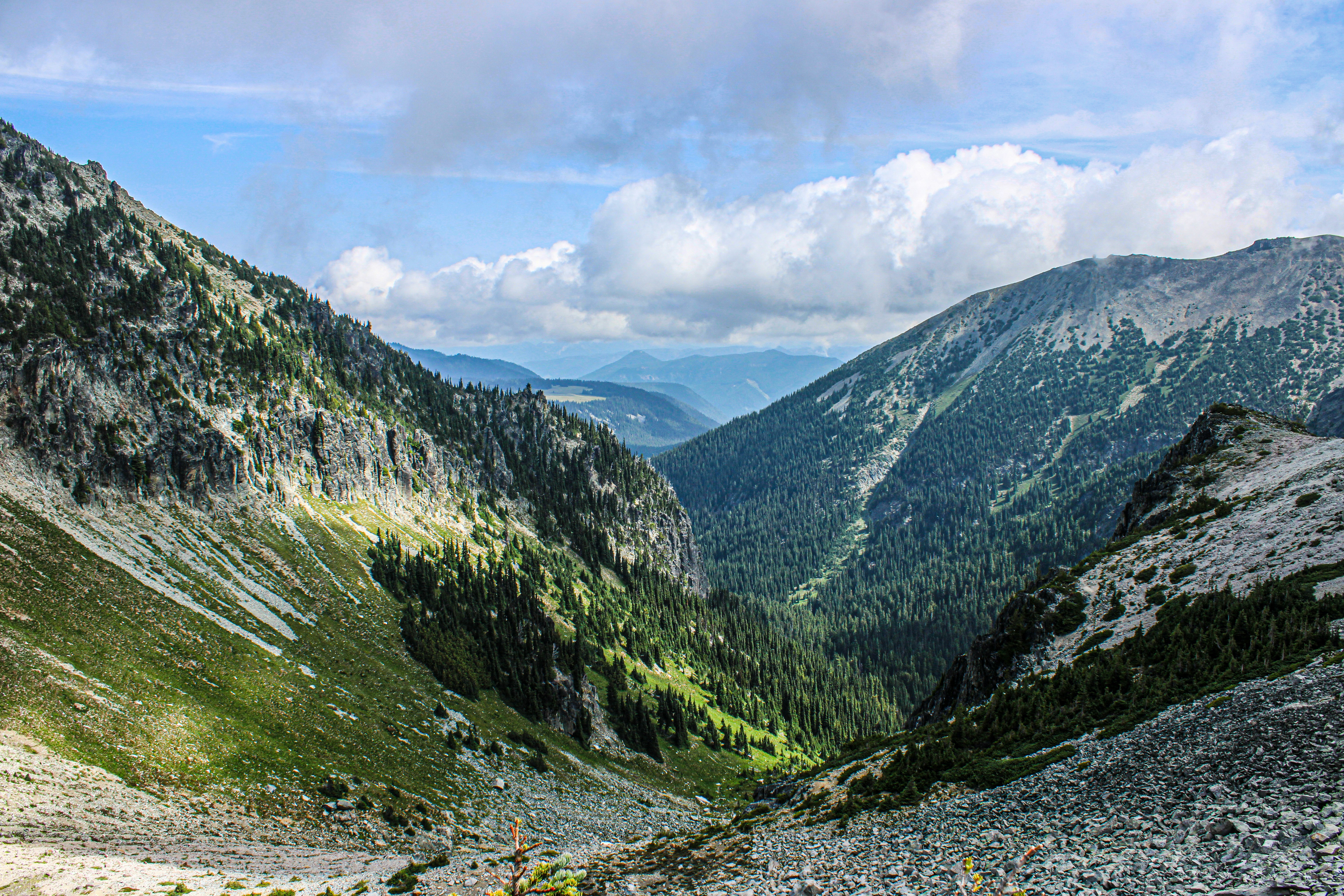 Photo by prphotography262