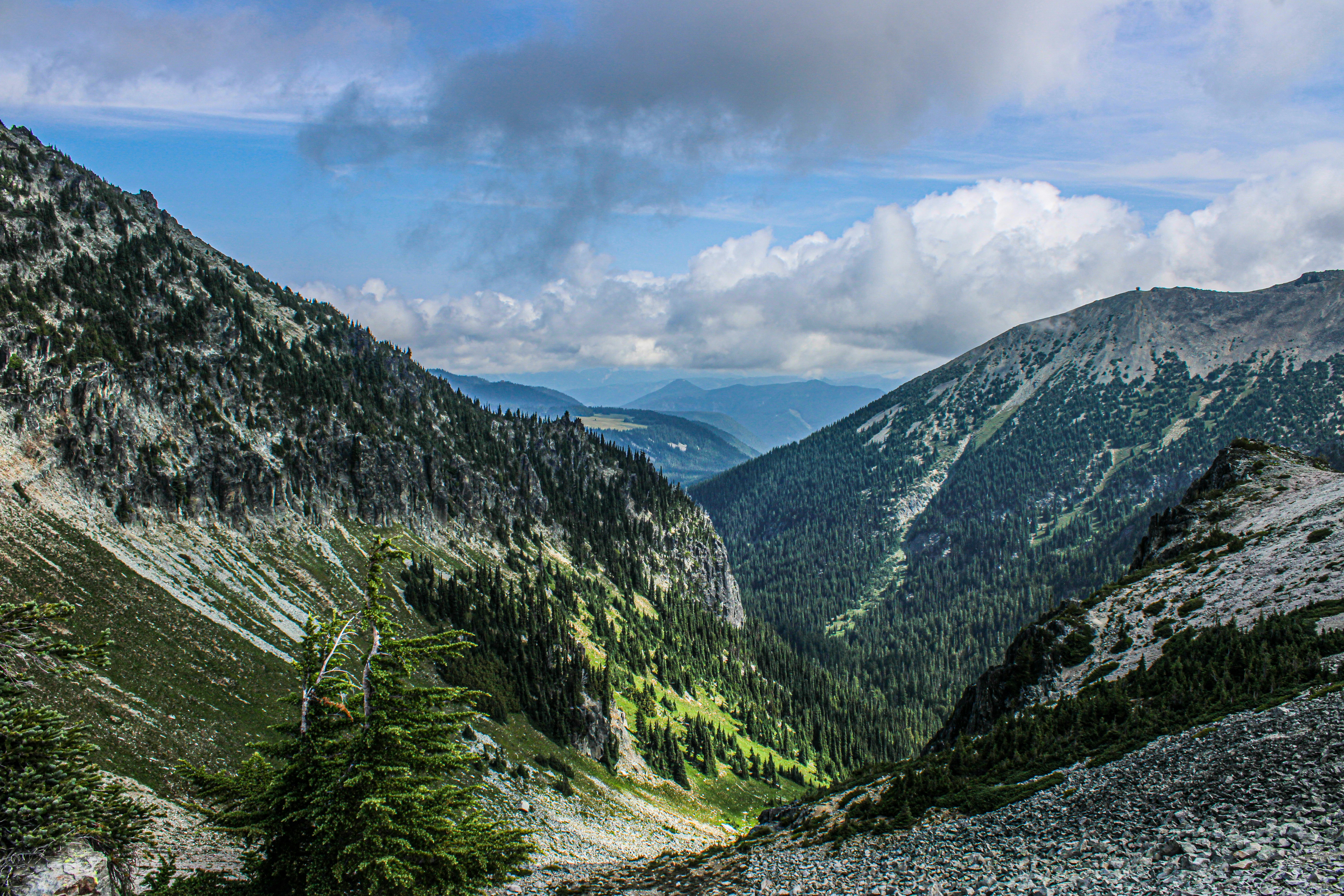 Photo by prphotography262