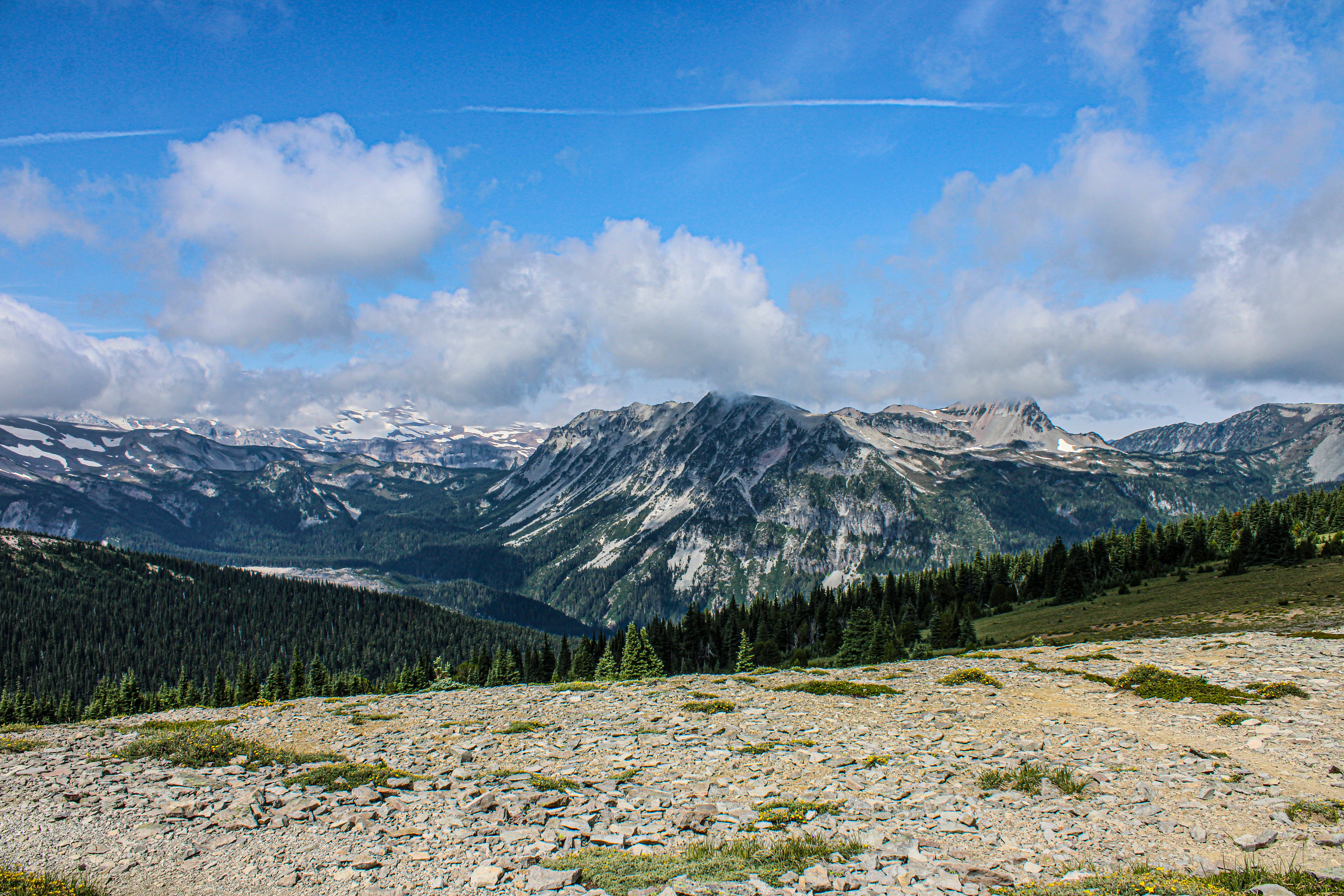 Photo by prphotography262