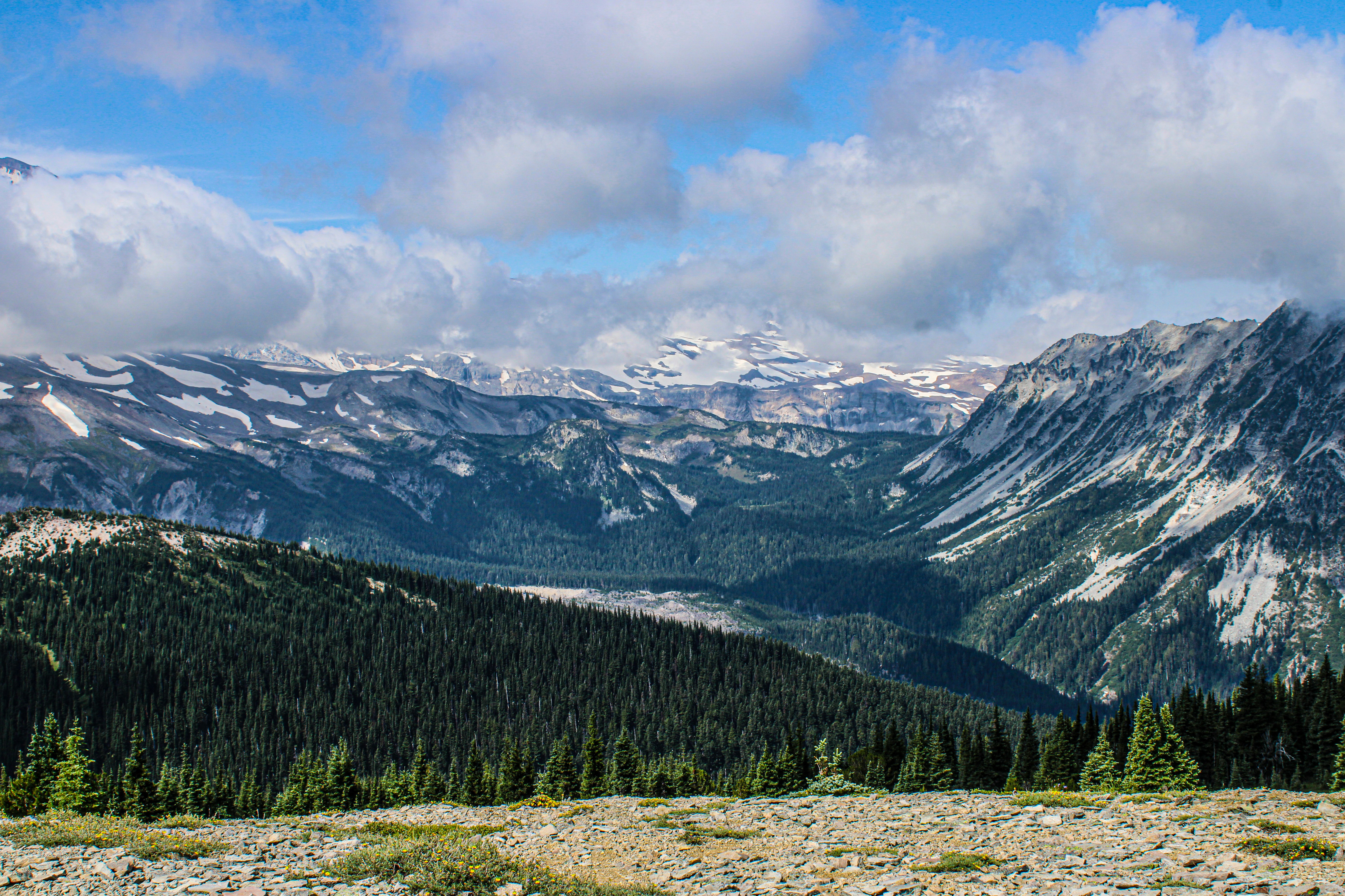 Photo by prphotography262