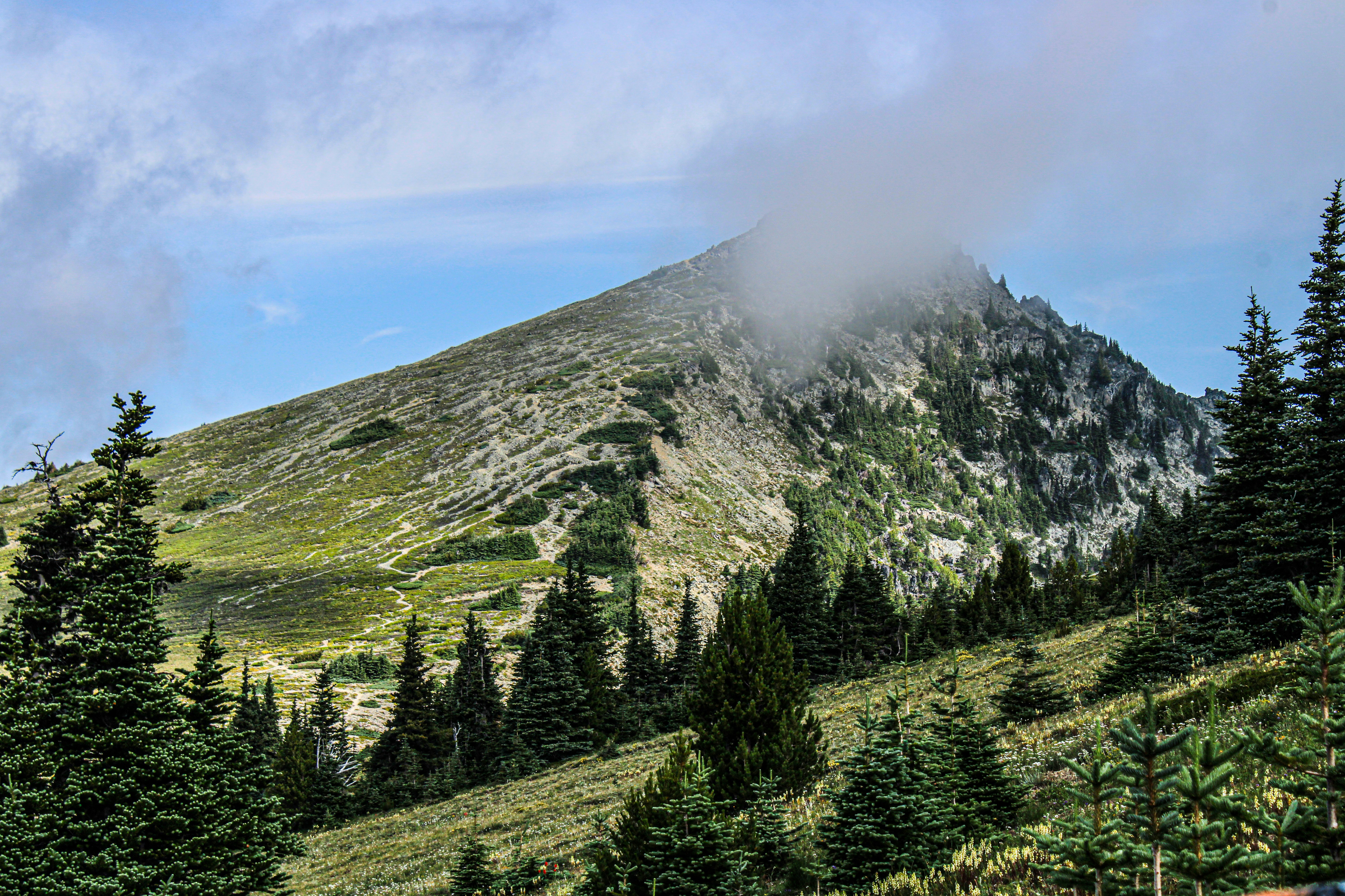 Photo by prphotography262