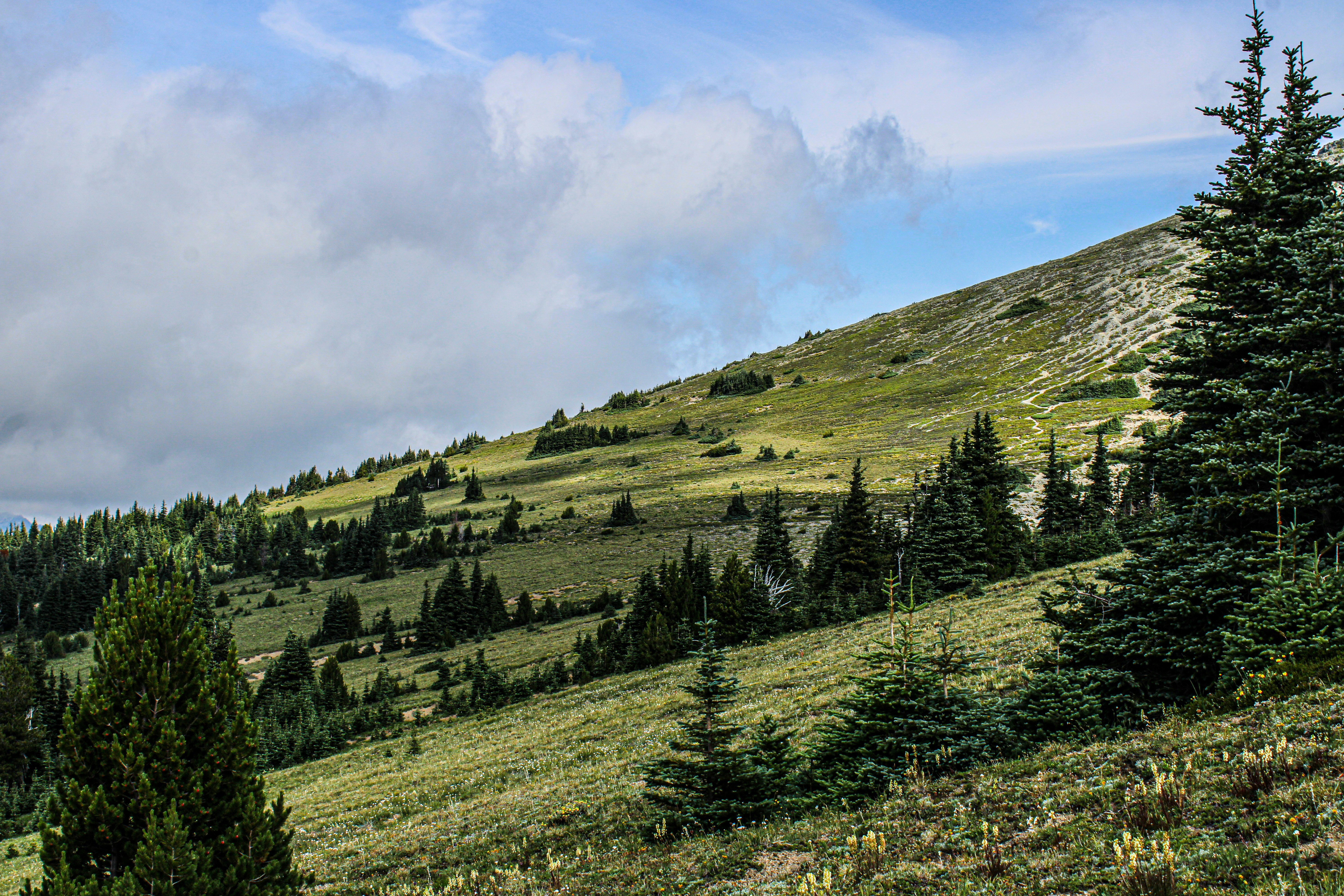 Photo by prphotography262