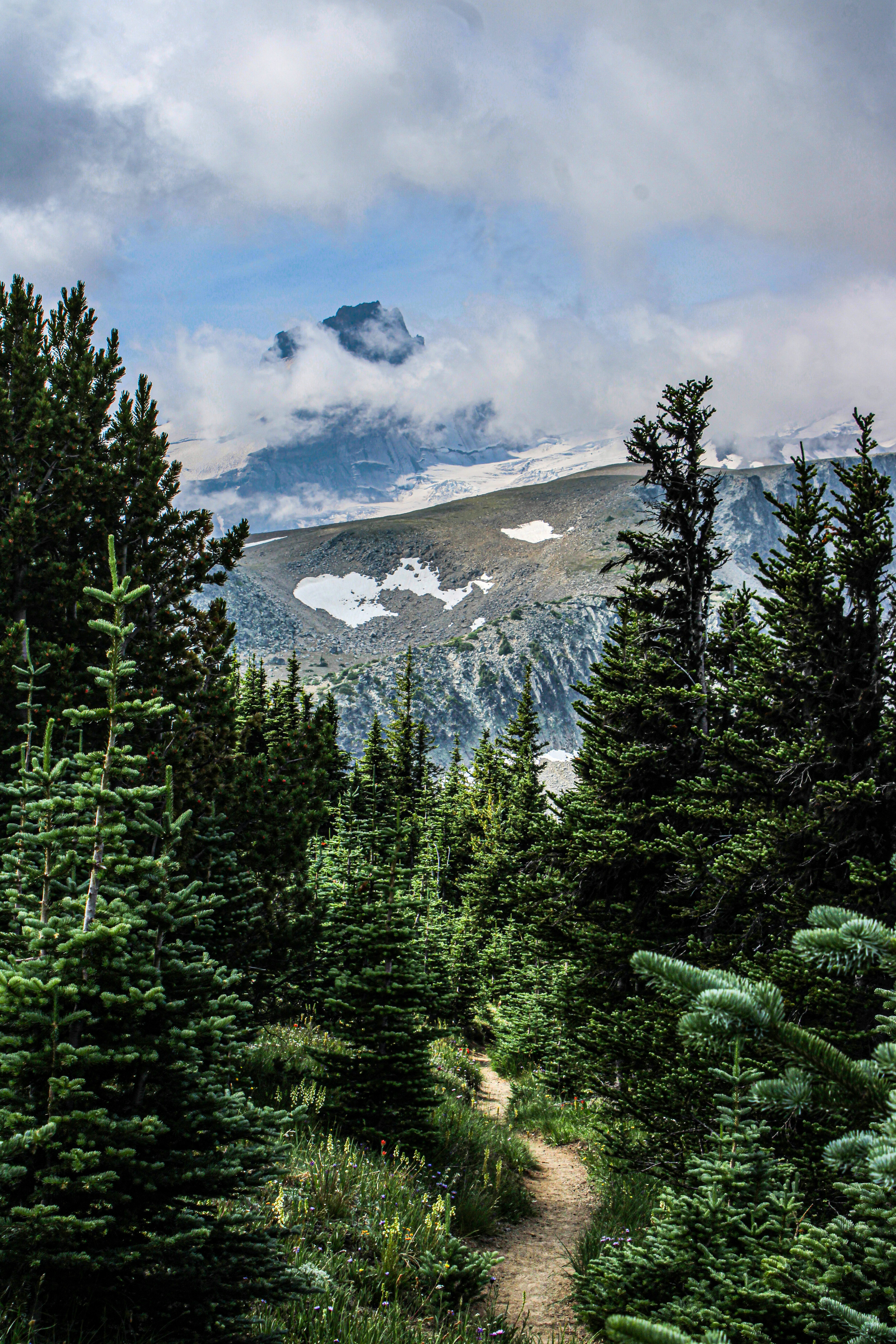 Photo by prphotography262