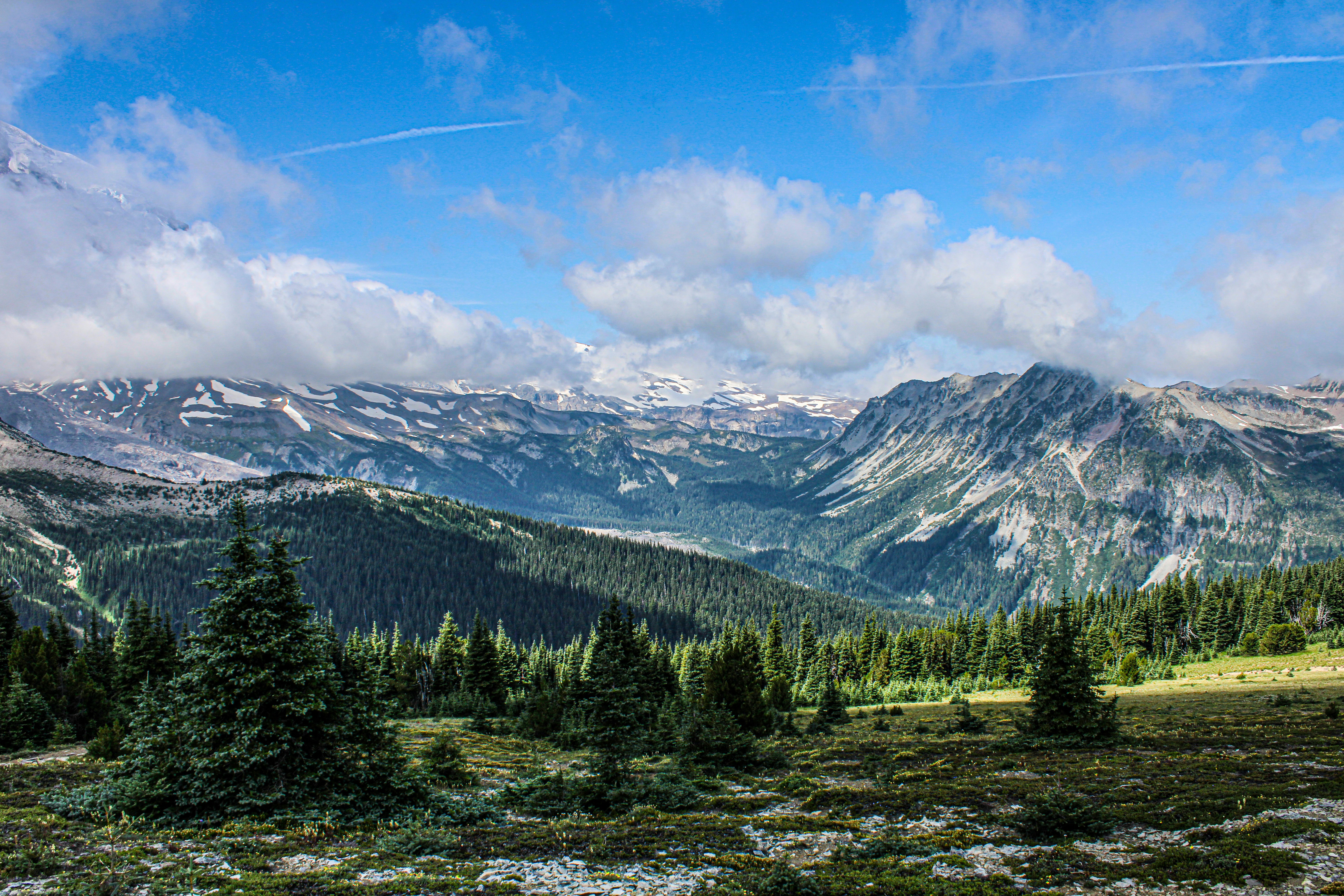 Photo by prphotography262