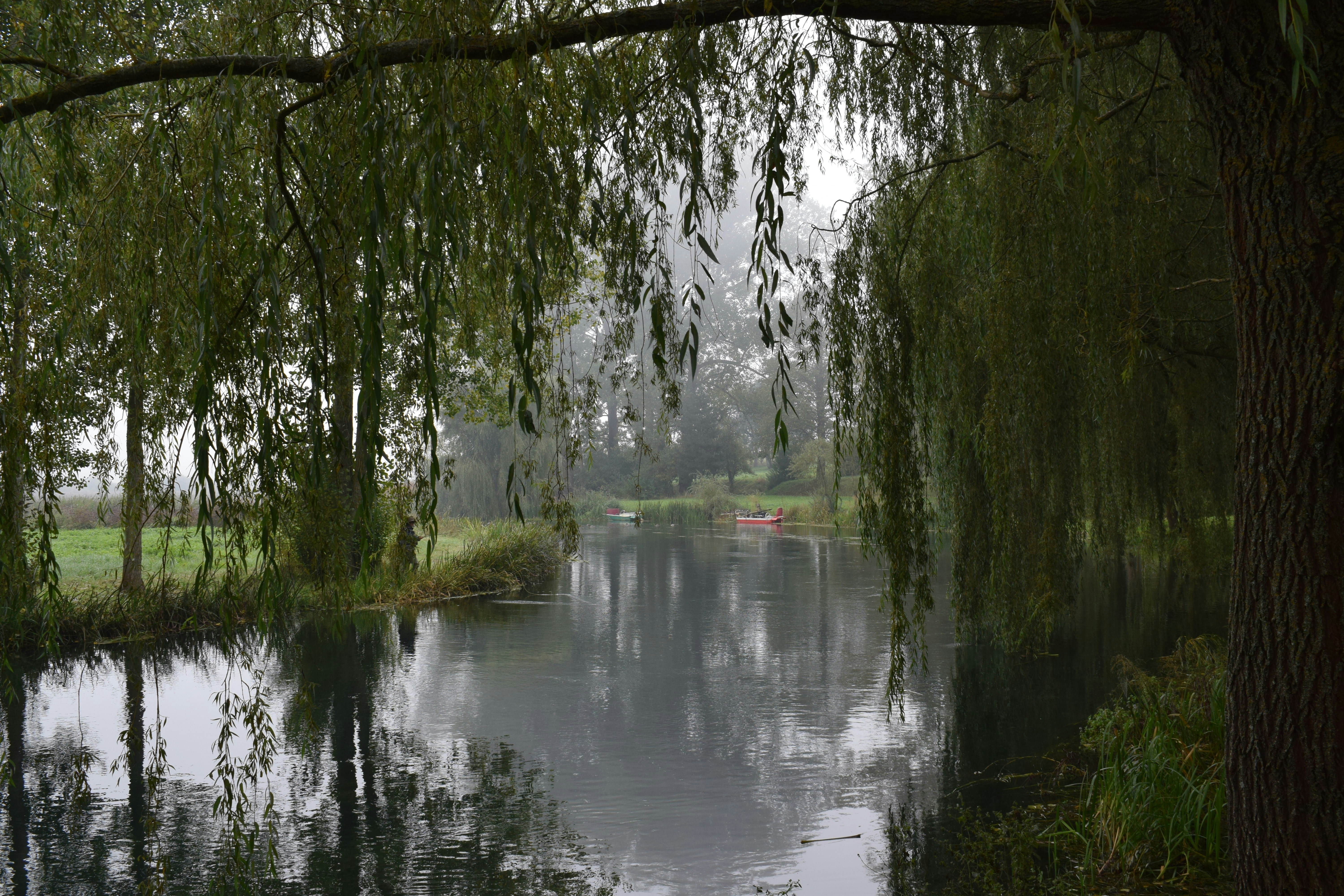 Photo by kristina001