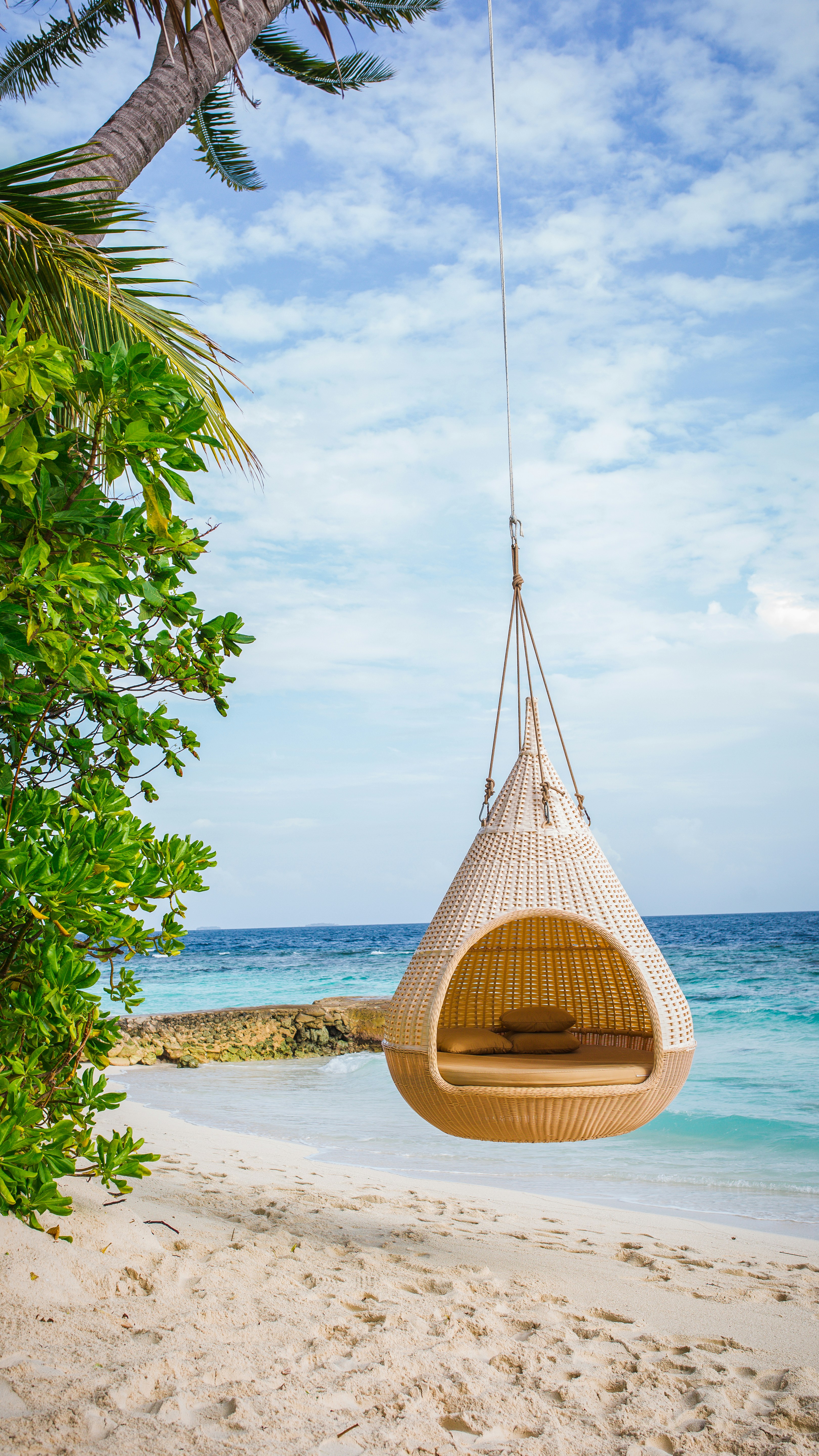 A hammock hanging from a tree on a beach