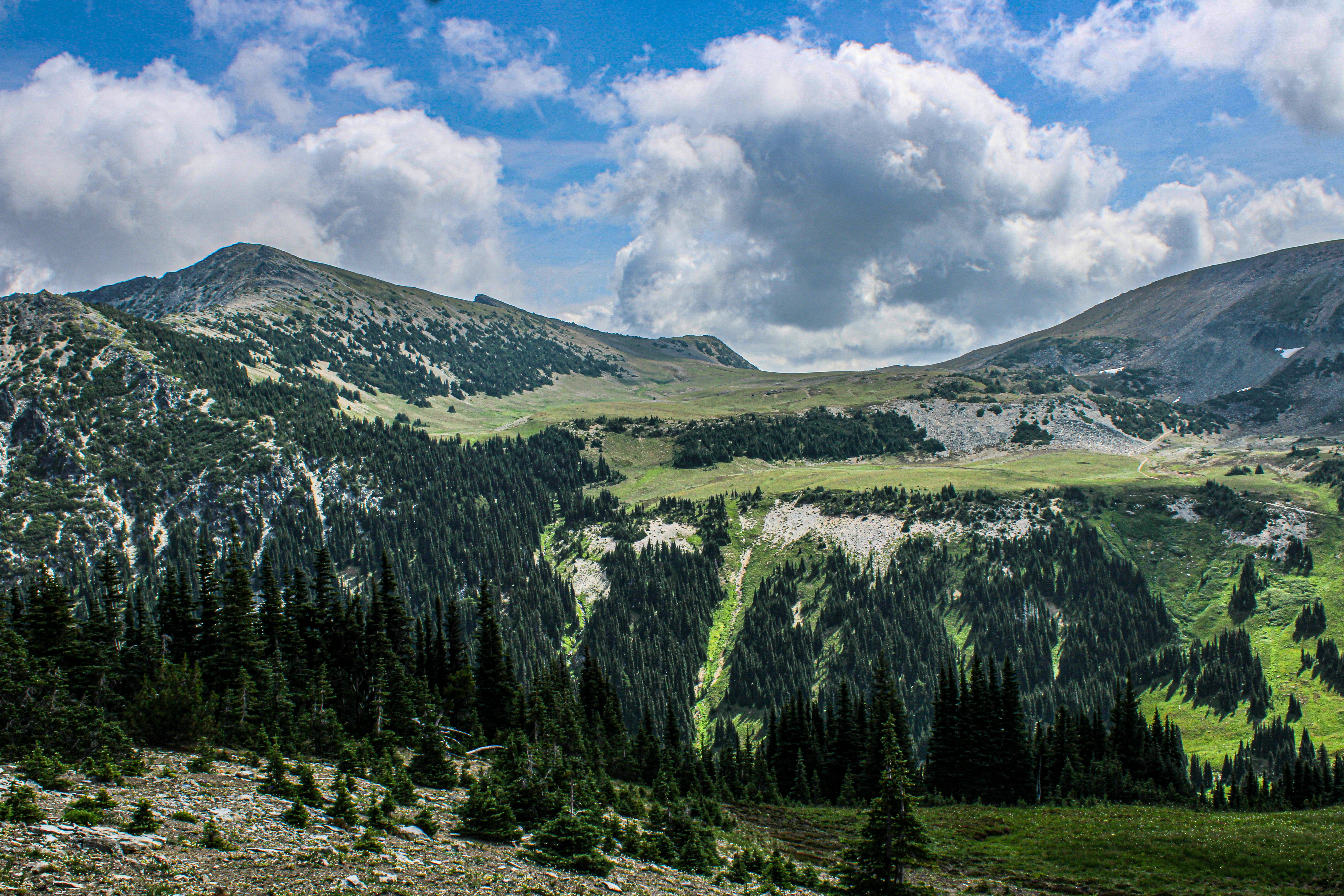 Photo by prphotography262