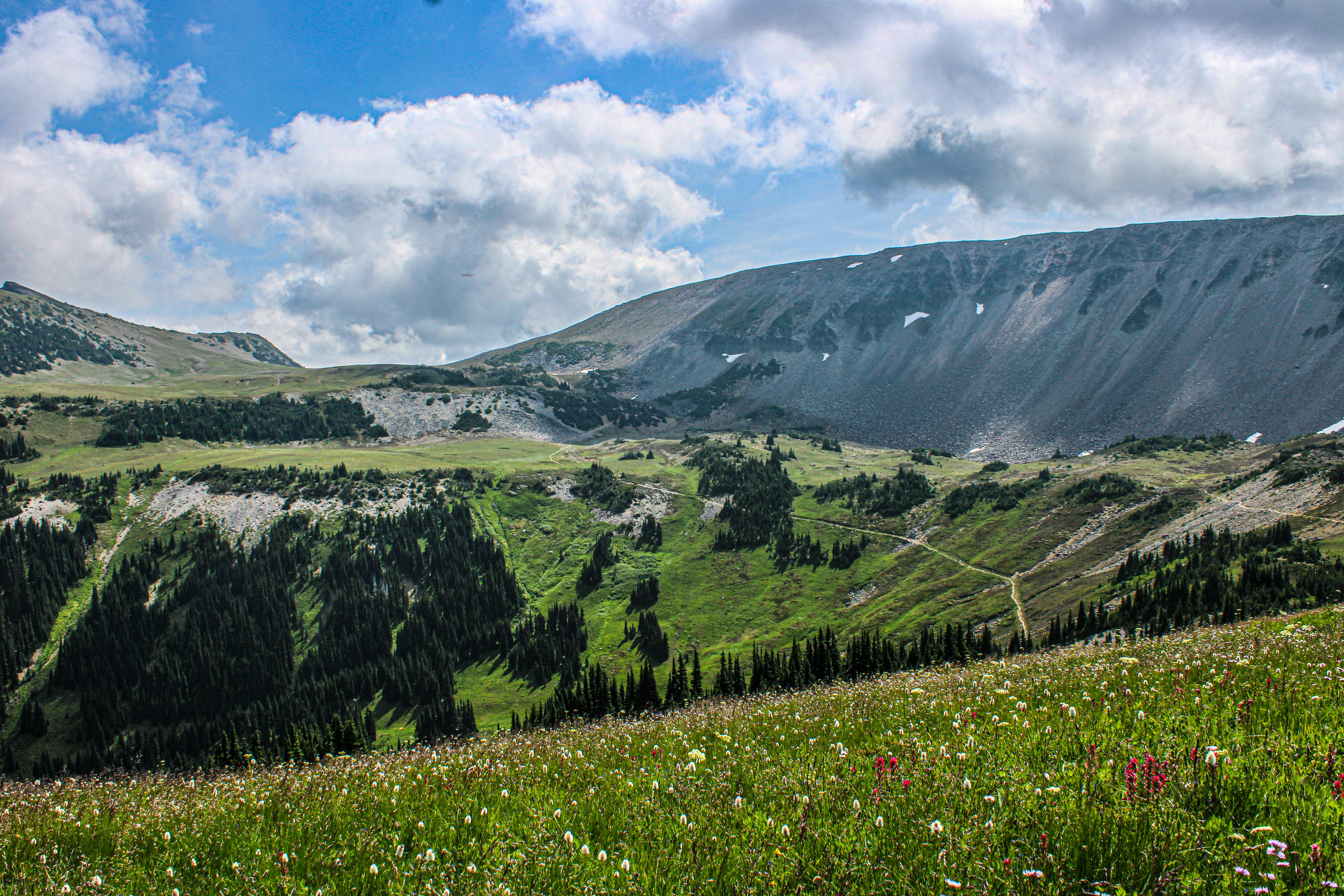 Photo by prphotography262