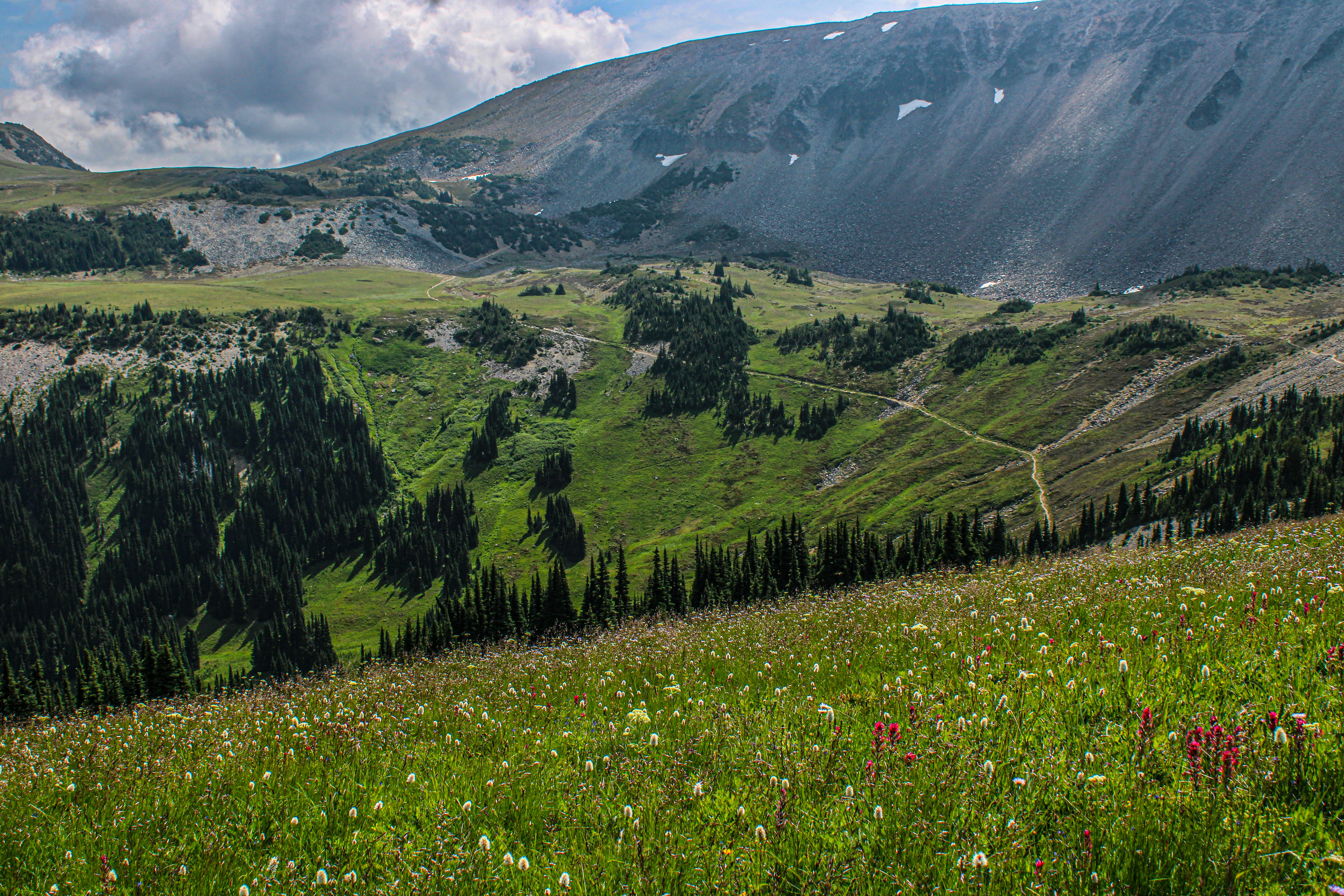 Photo by prphotography262