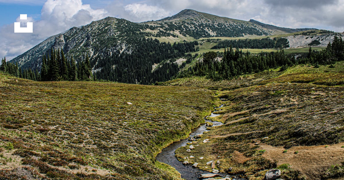 A mountain with a stream running through it photo β Free Mount rainier ...