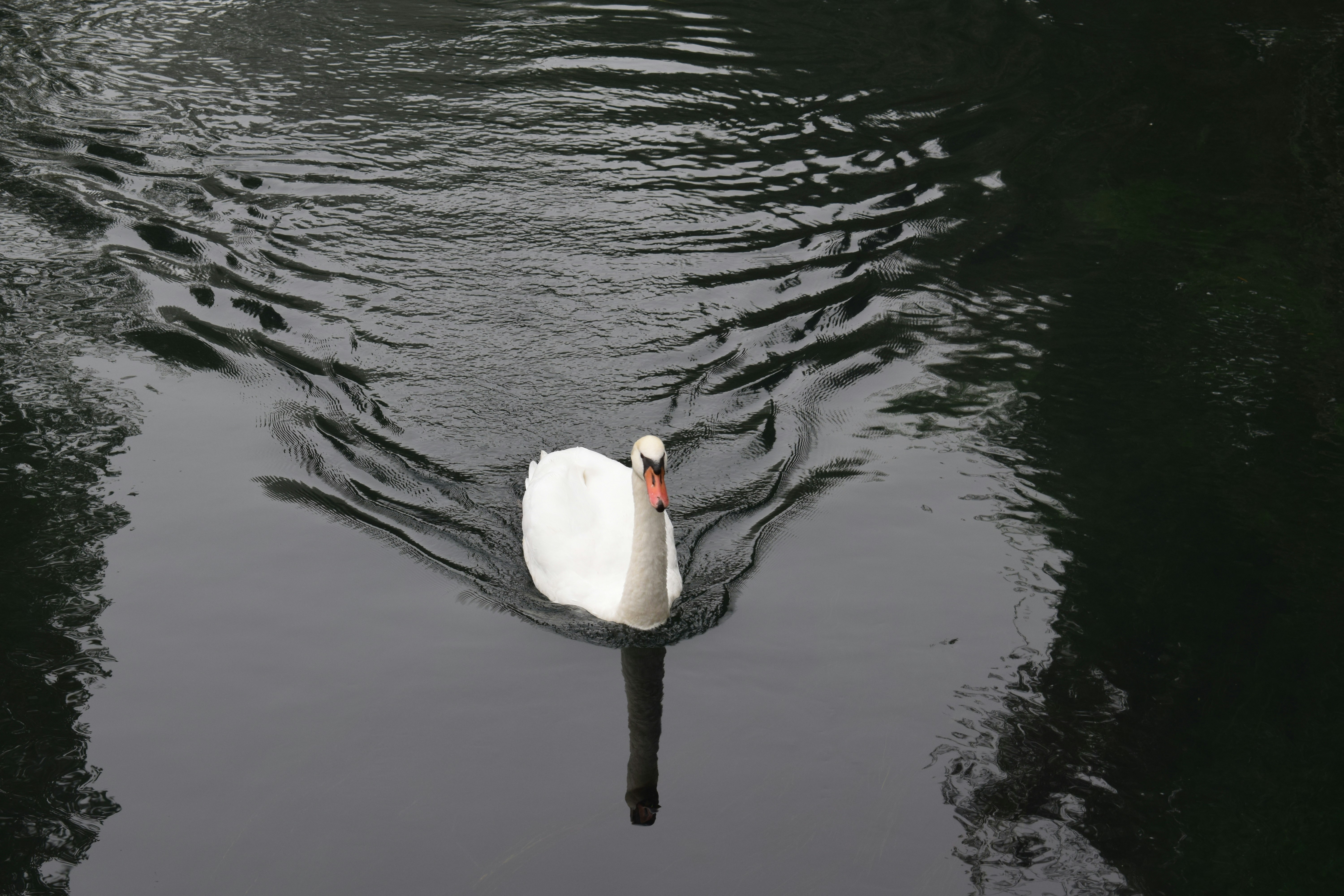 Photo by kristina001