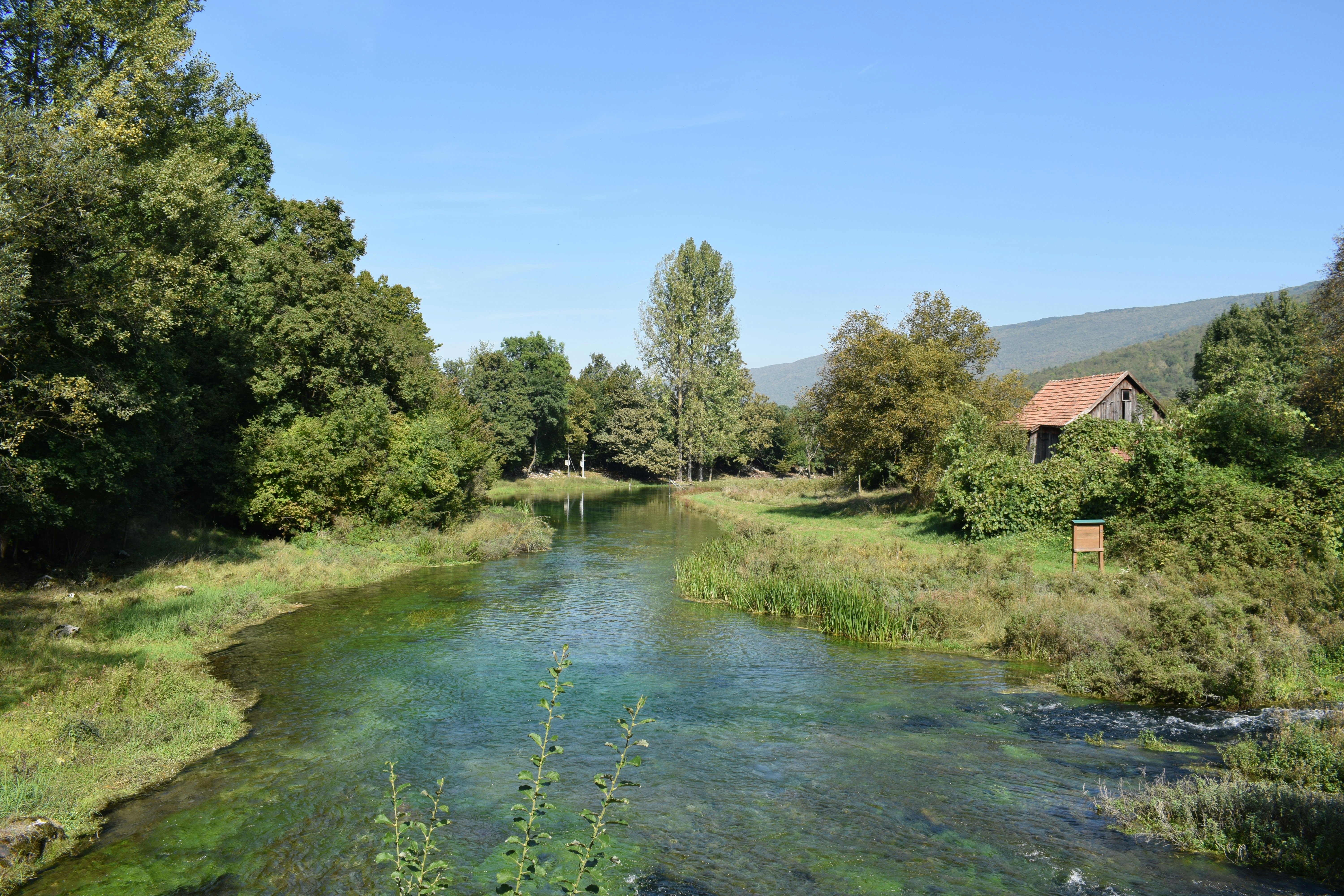 Photo by kristina001