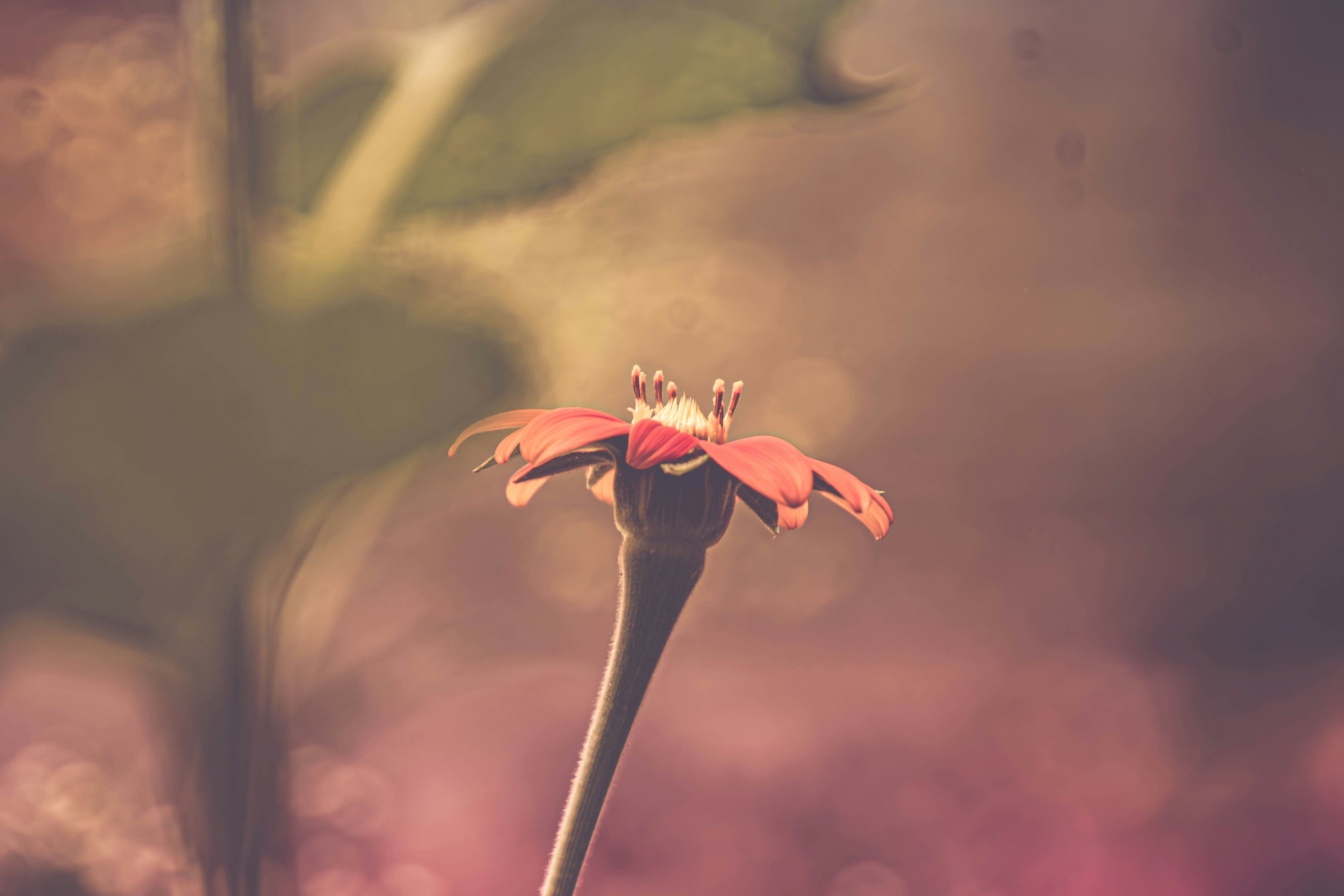 Photo by coelhoguilherme