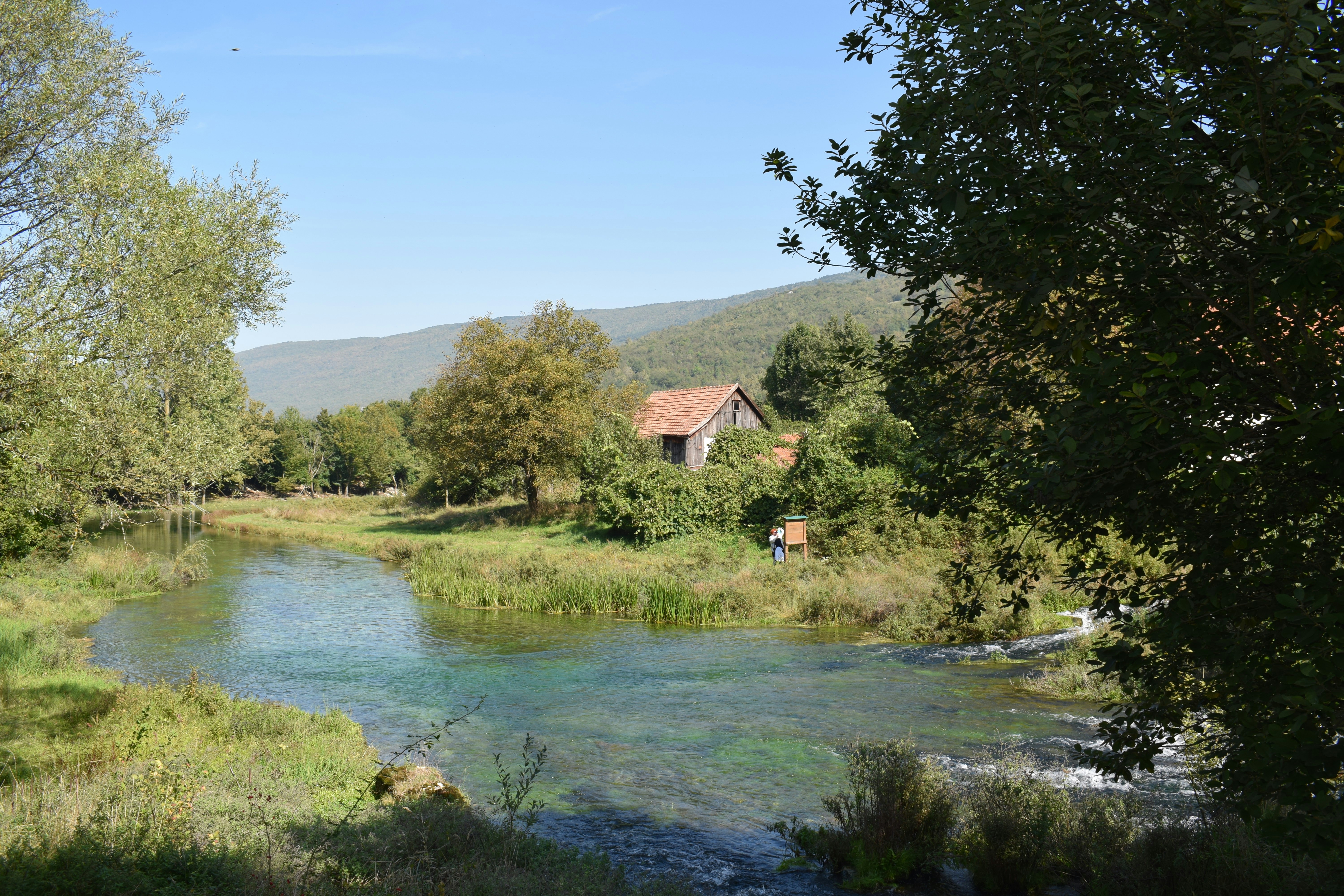 Photo by kristina001