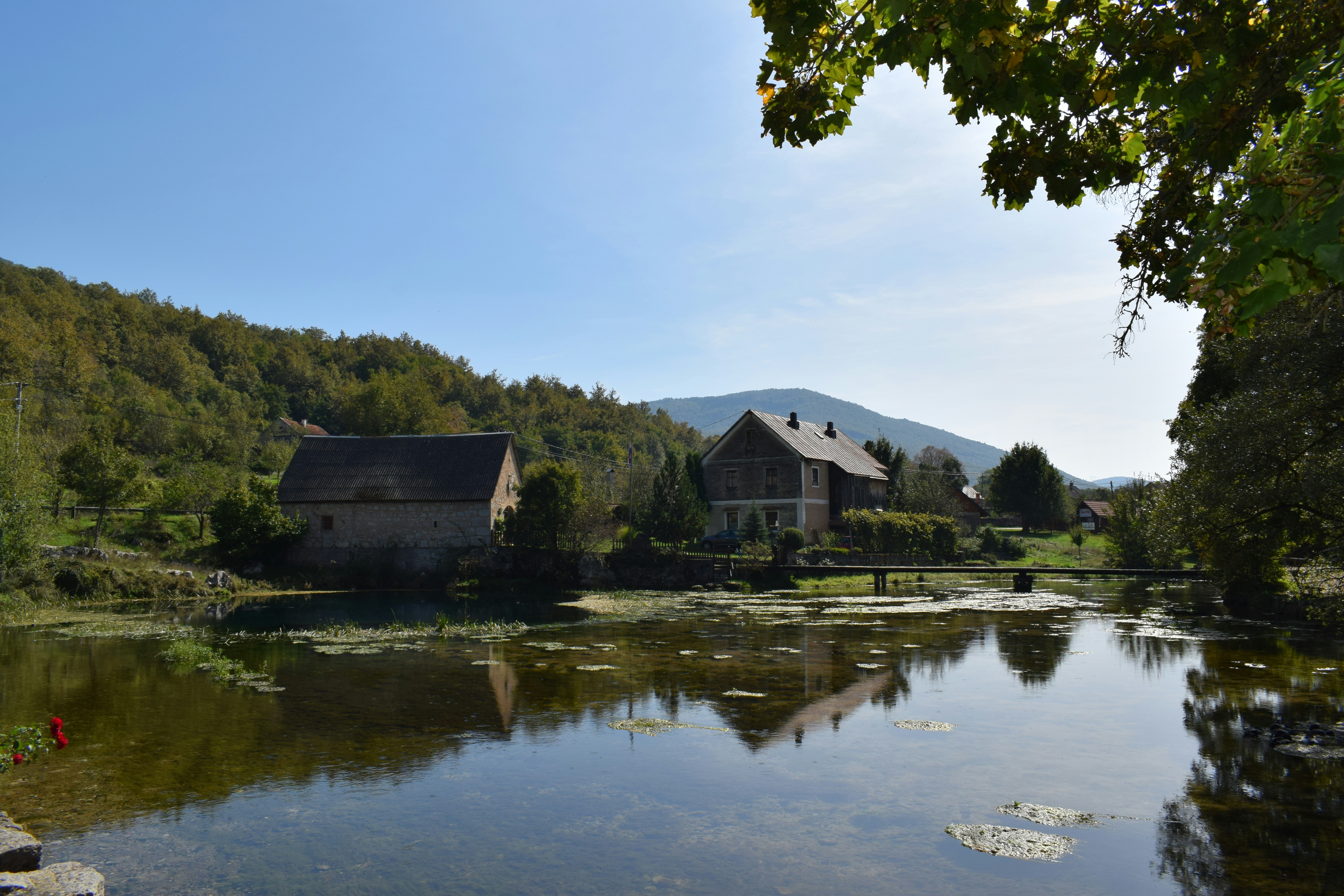 Photo by kristina001