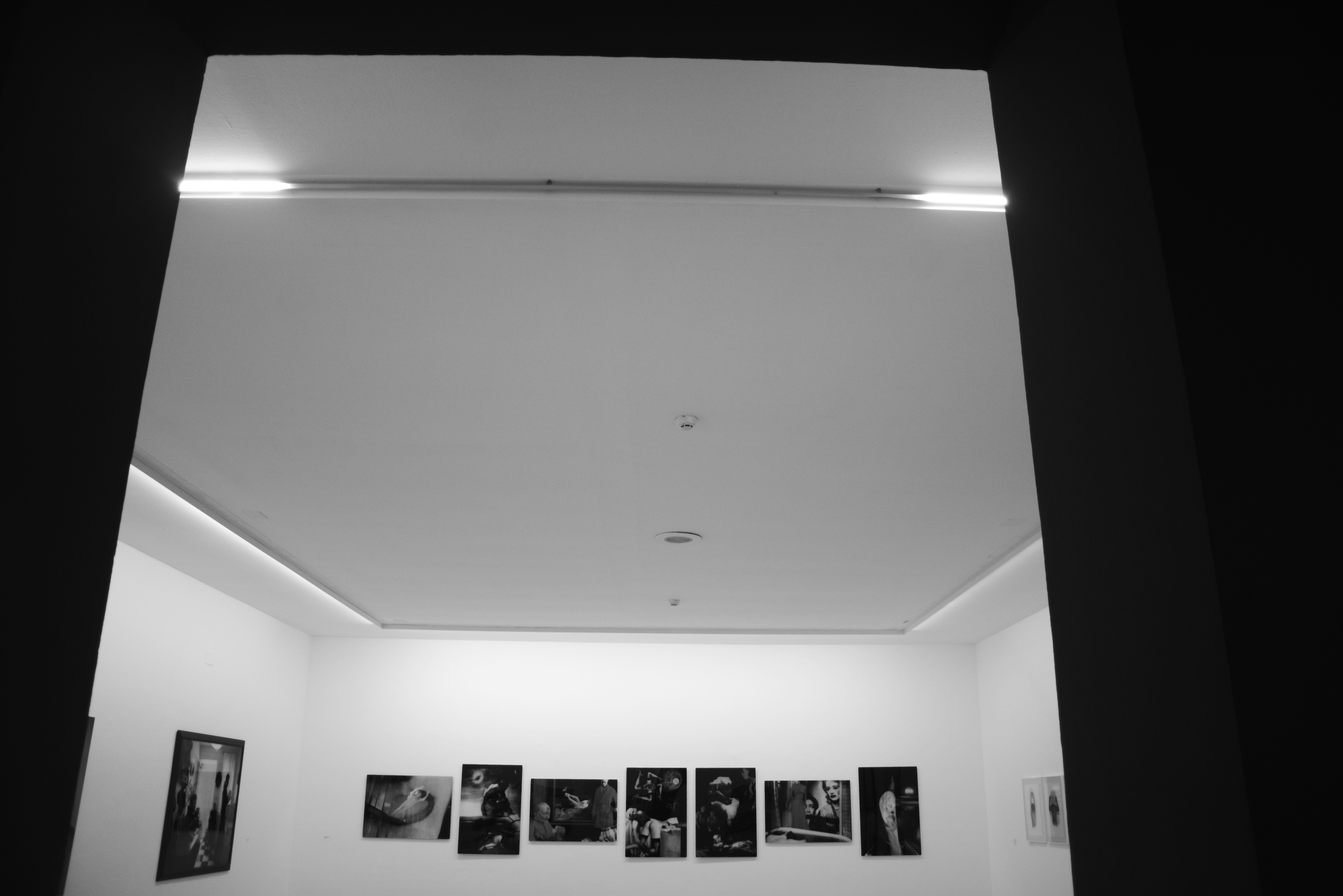Photography exhibition gallery, large portrait prints on white walls, bright gallery lighting