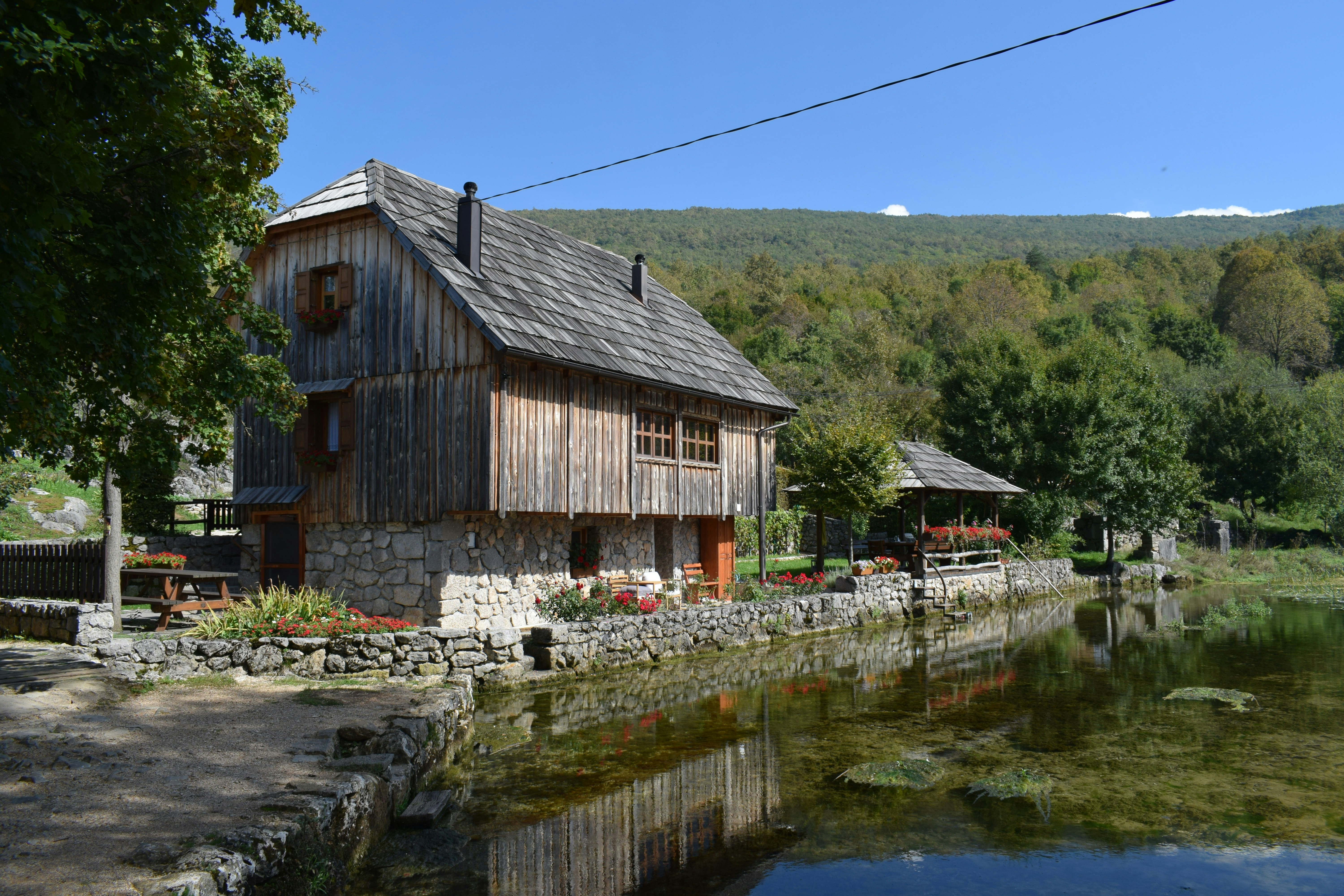 Photo by kristina001