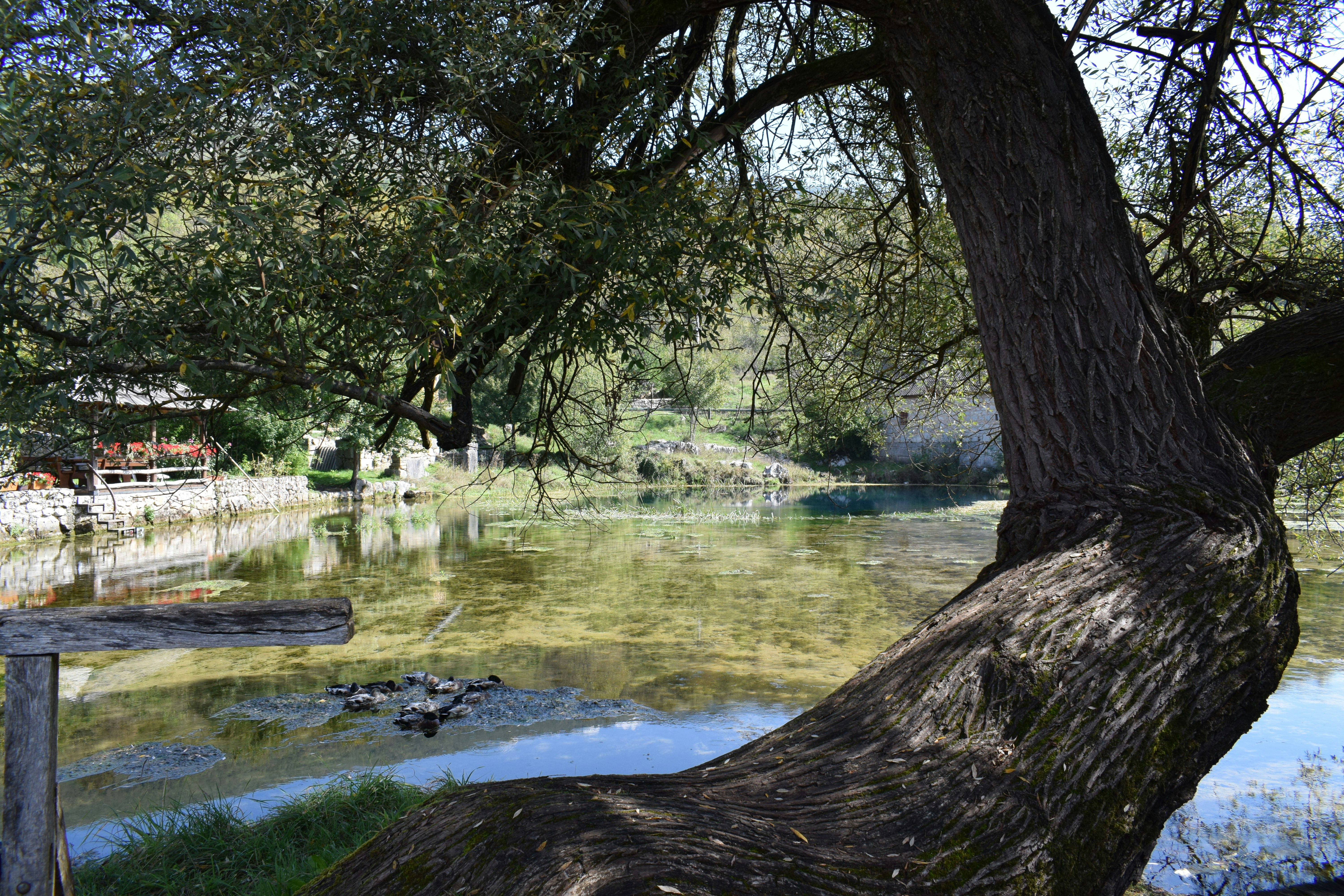 Photo by kristina001