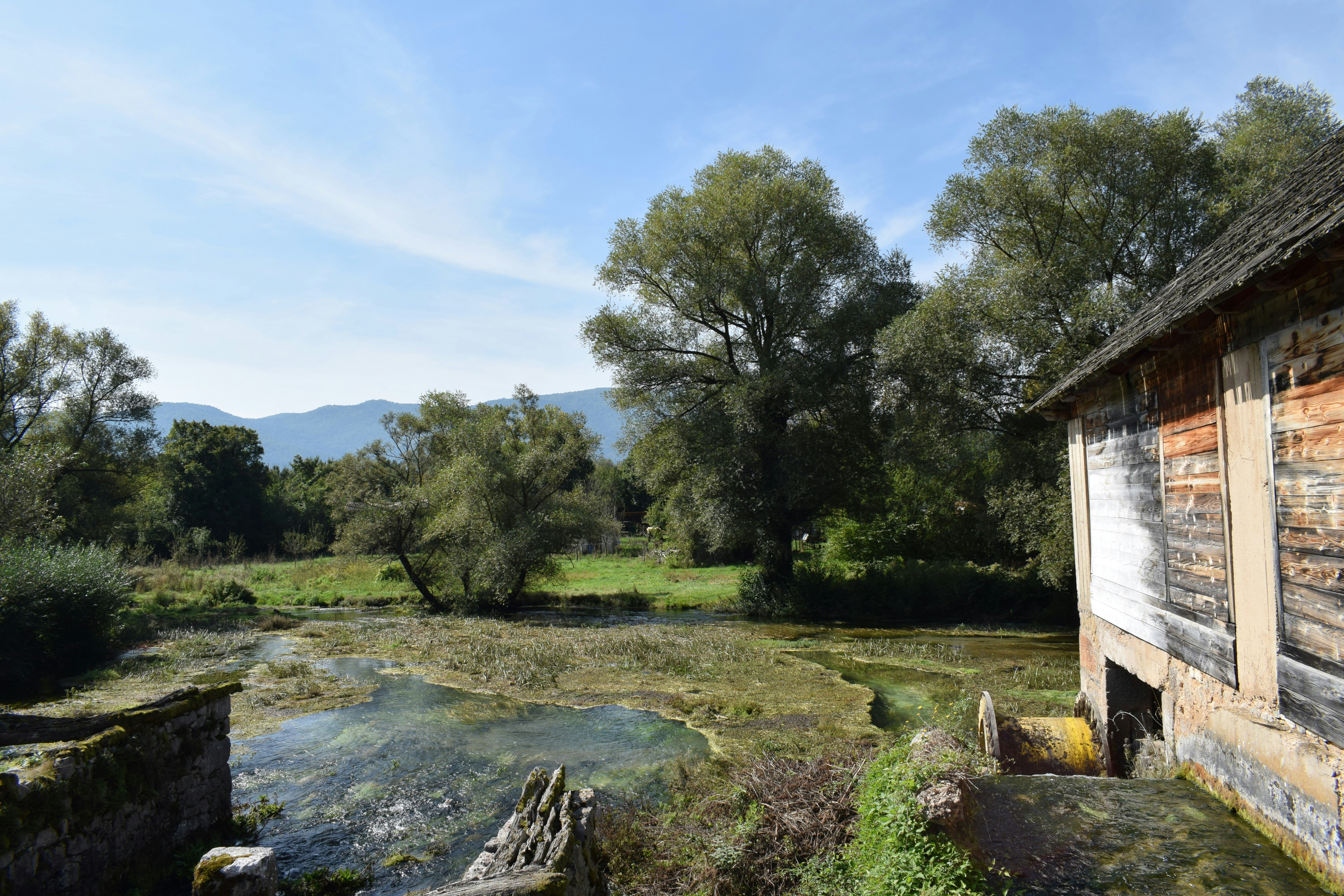 Photo by kristina001