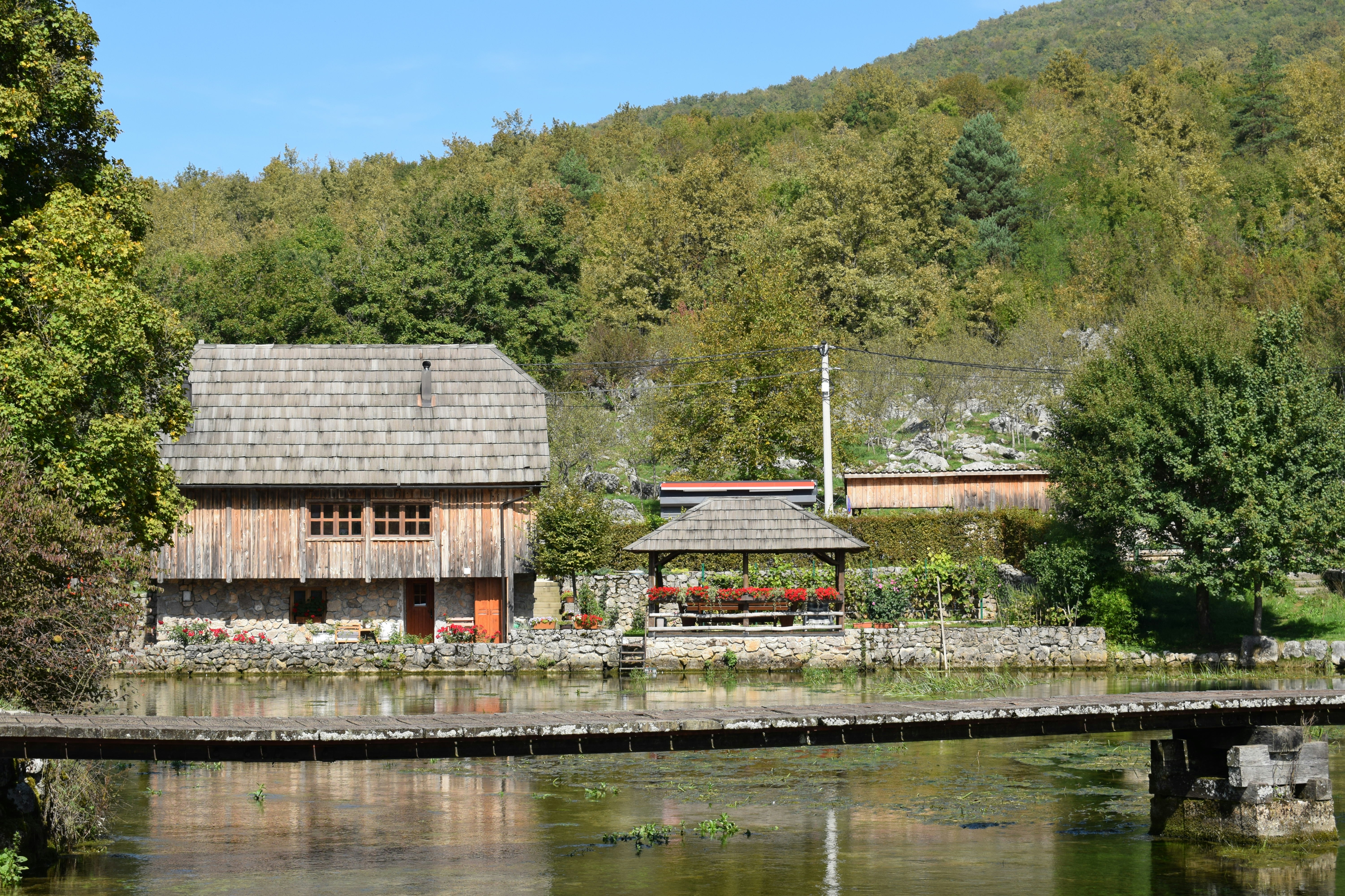 Photo by kristina001