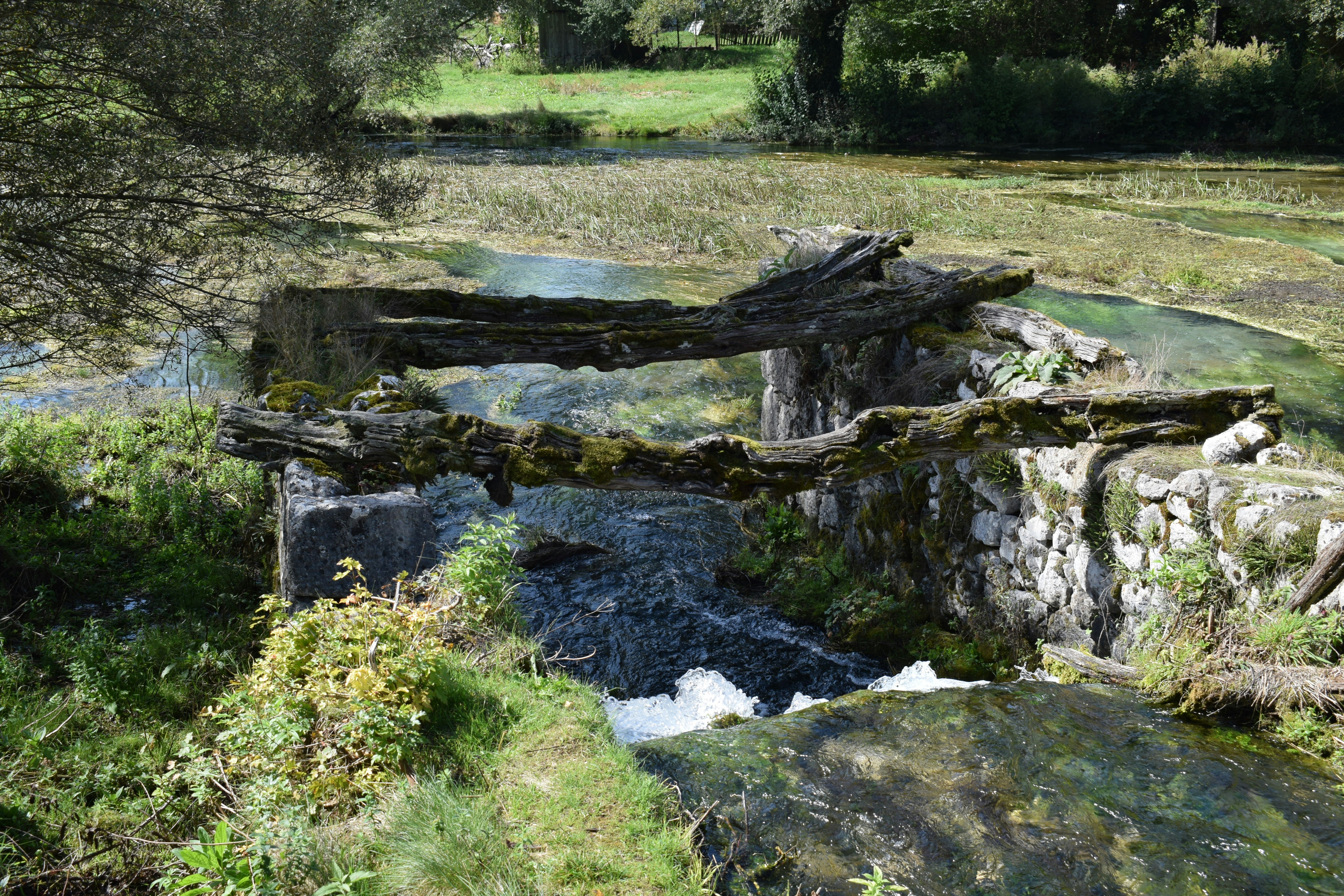 Photo by kristina001