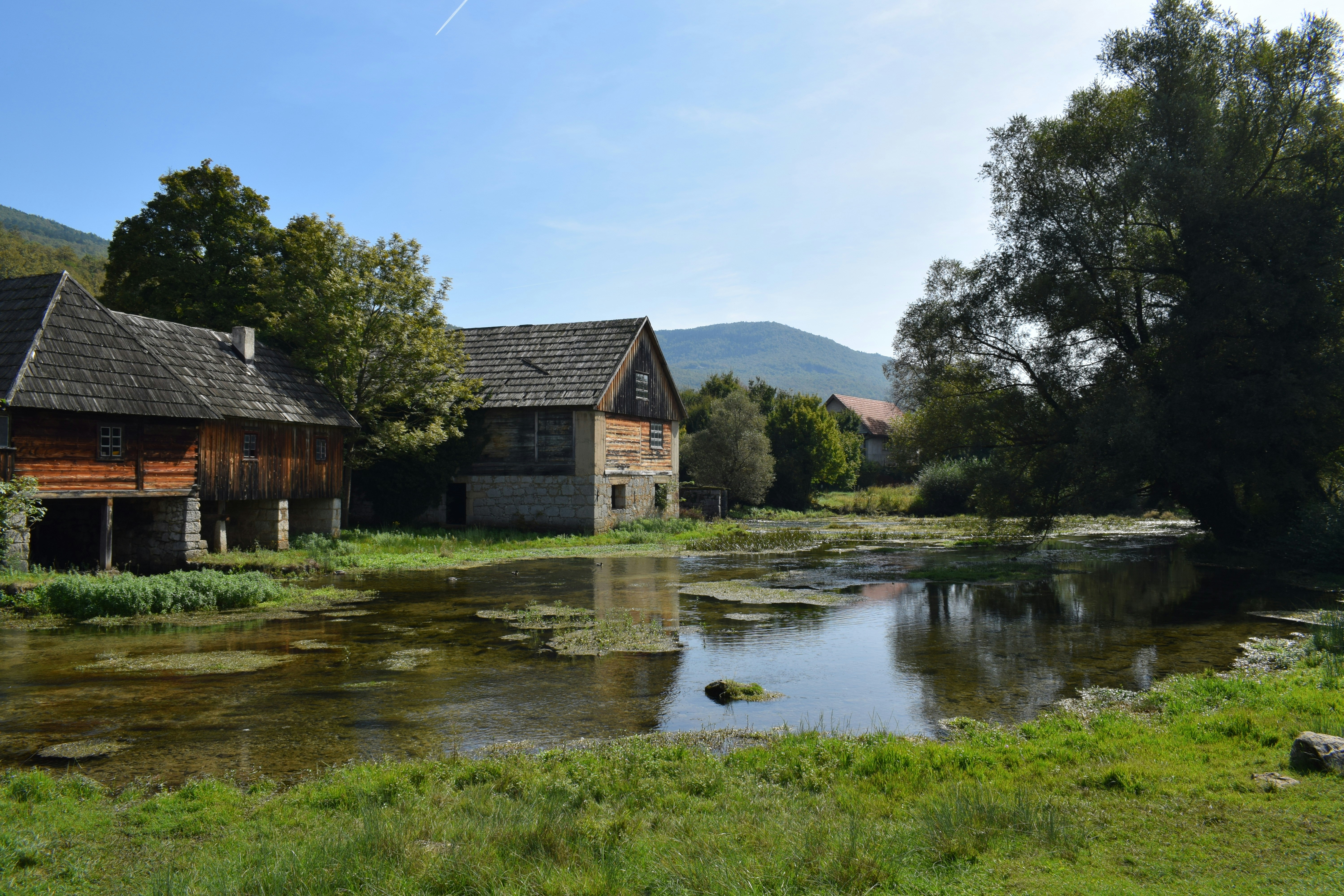 Photo by kristina001