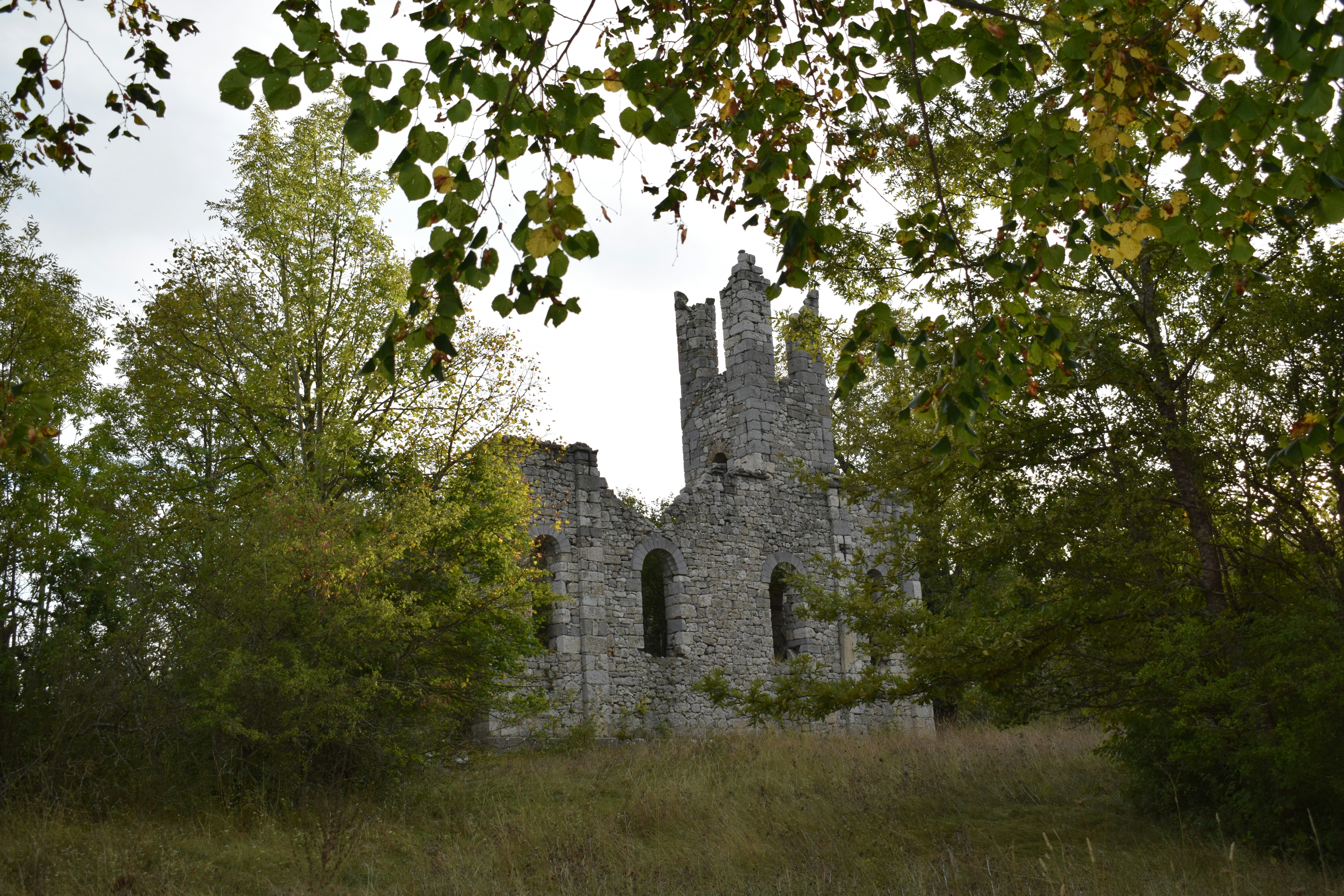 An old stone building sitting in the middle of a forest