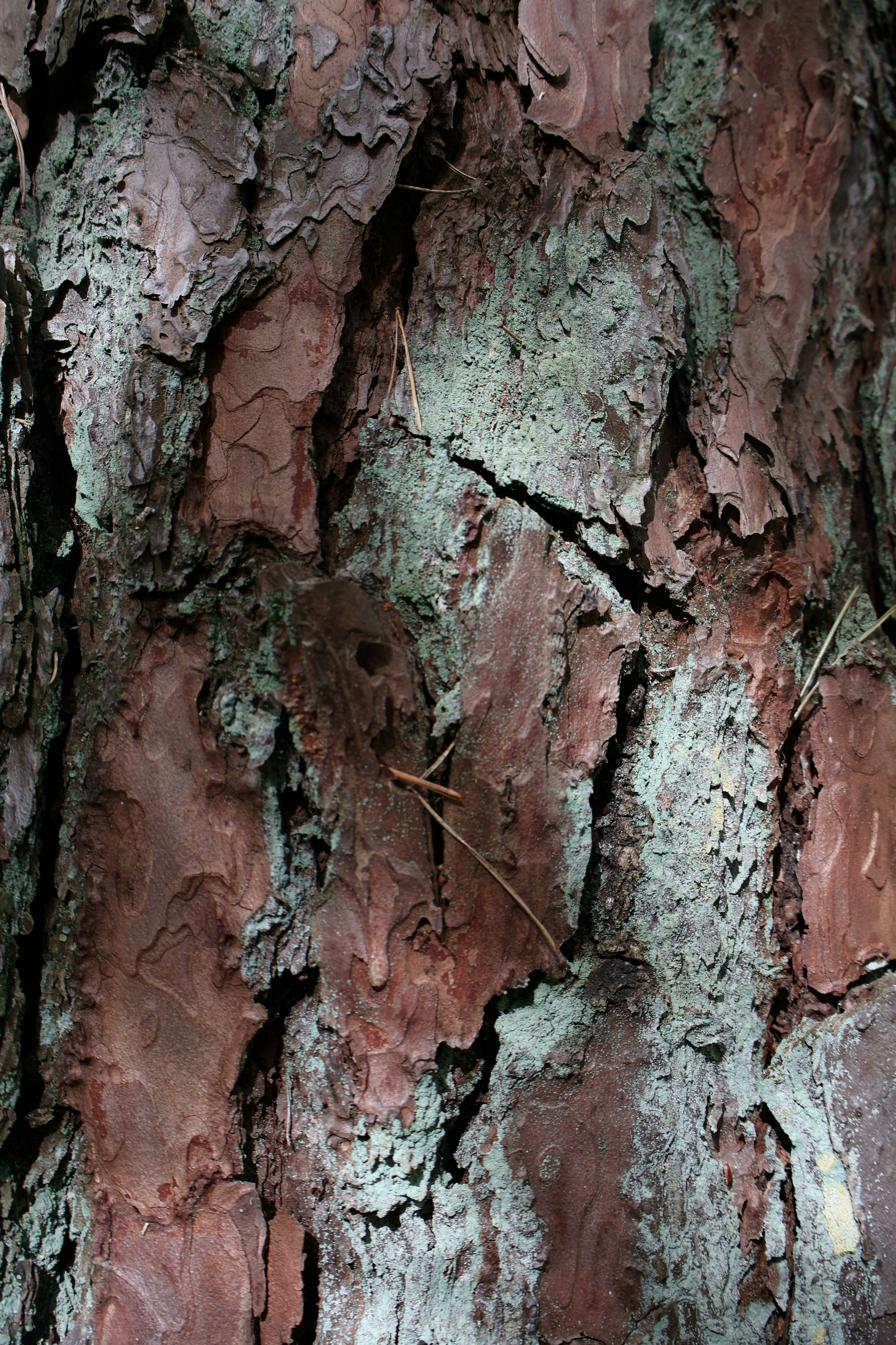 Photo by martin_lednar