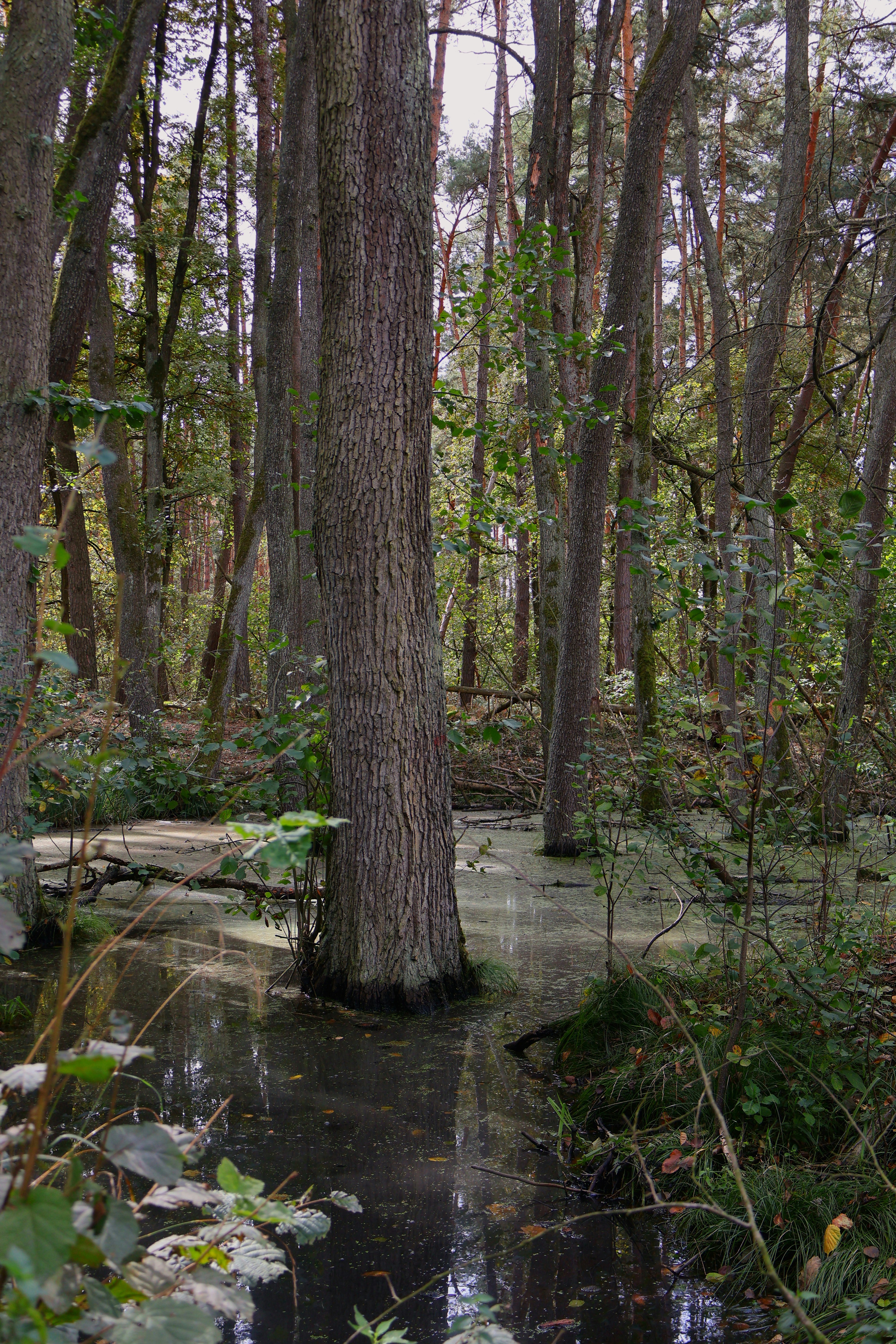 Photo by martin_lednar