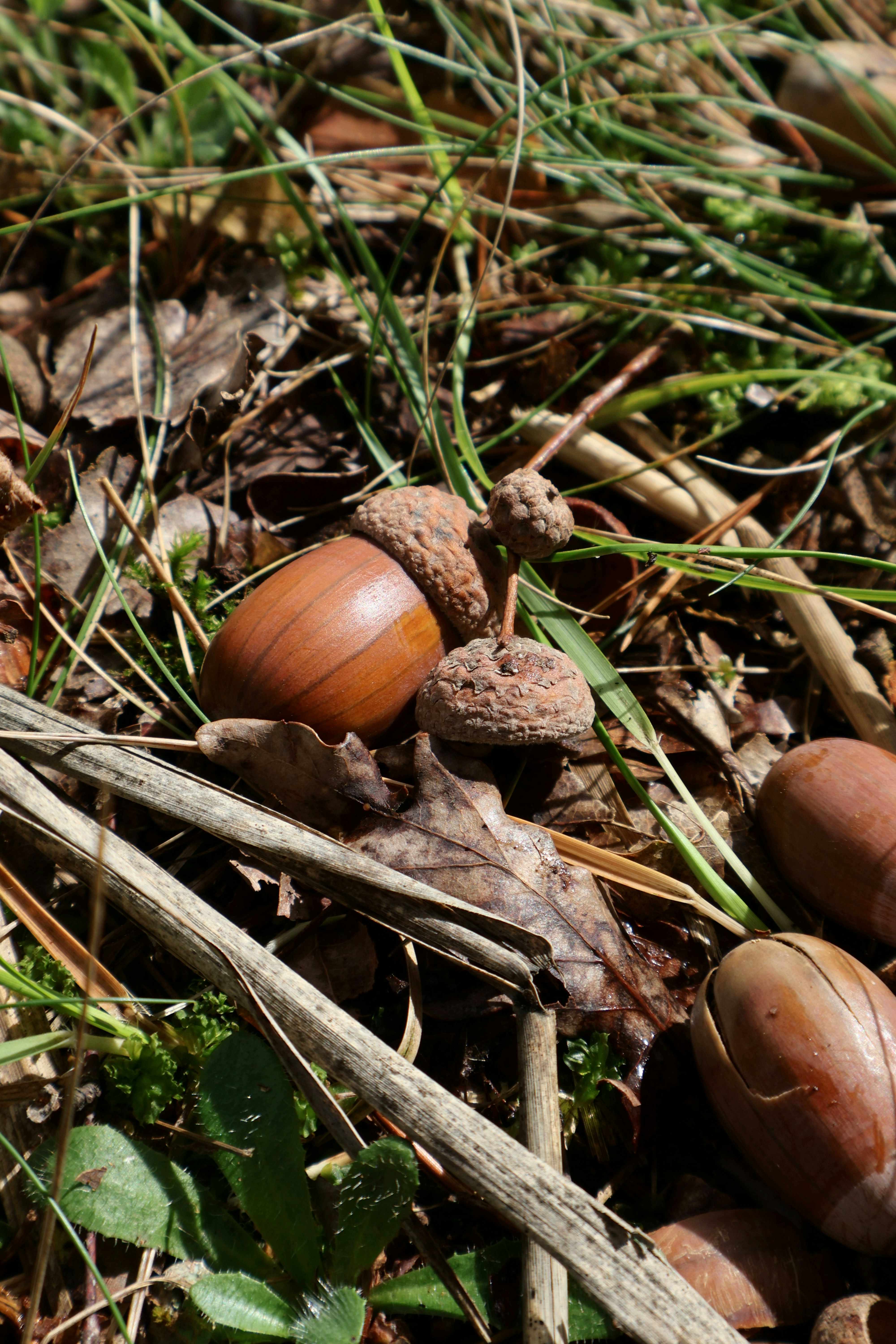 Photo by martin_lednar