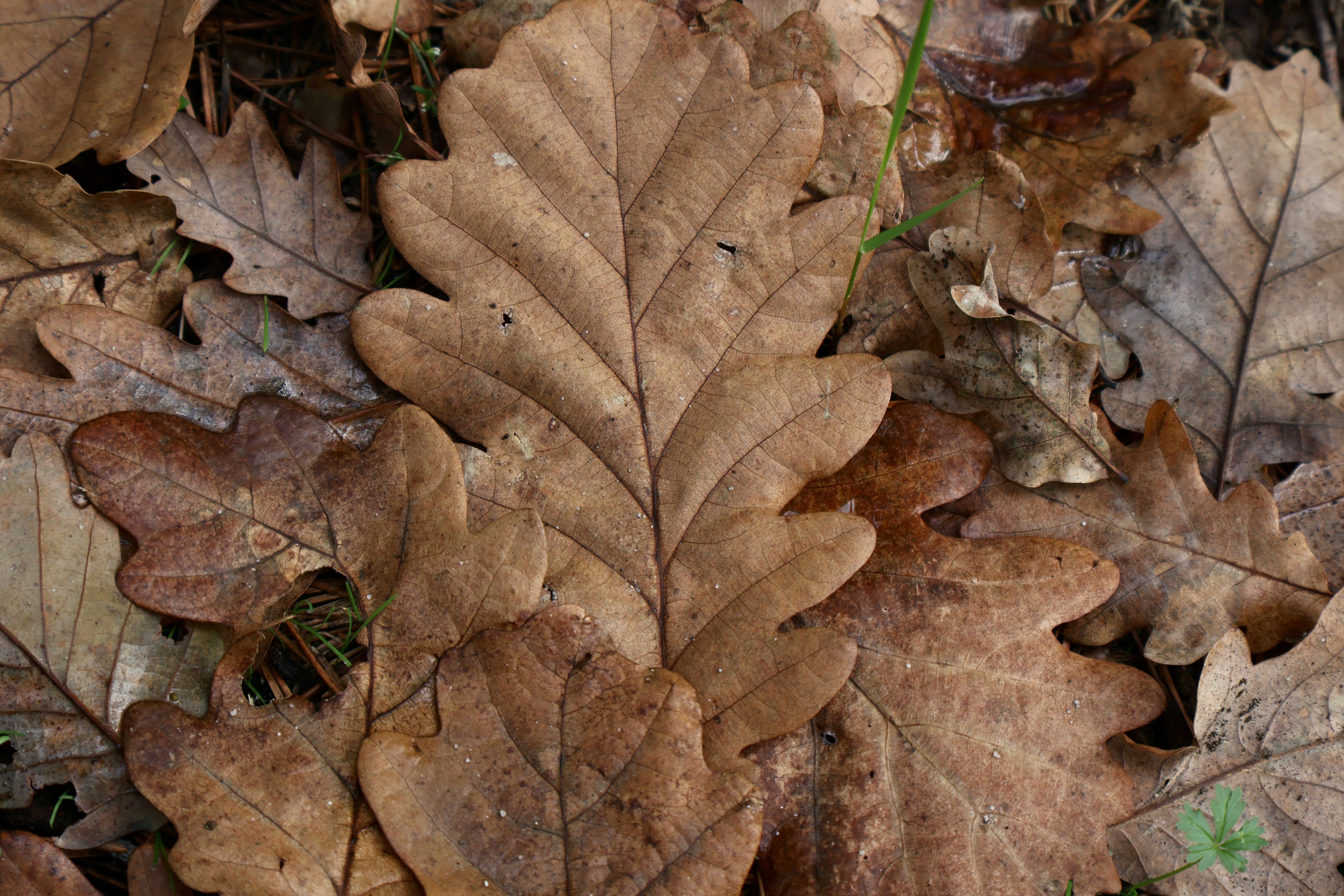 Photo by martin_lednar