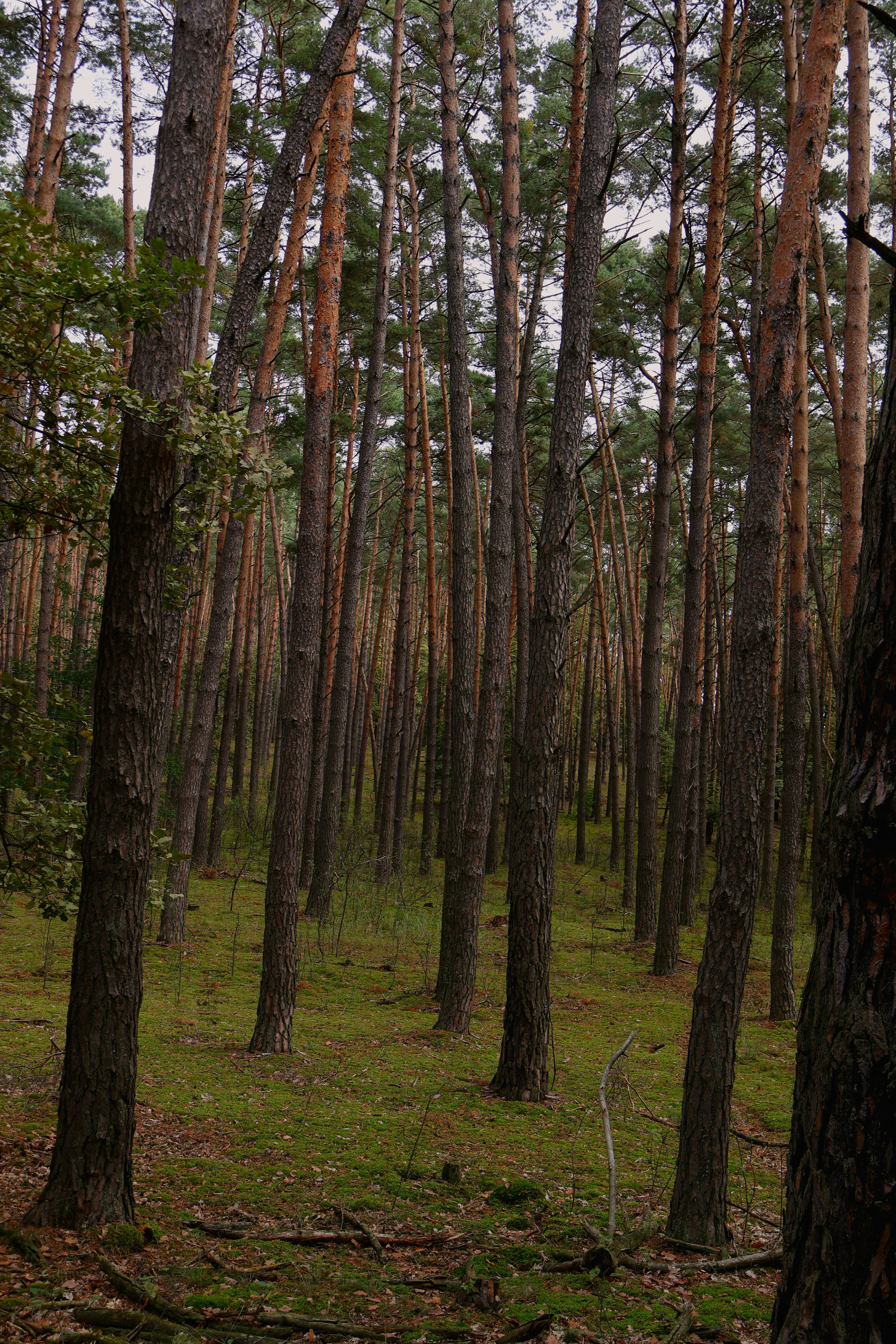 Photo by martin_lednar