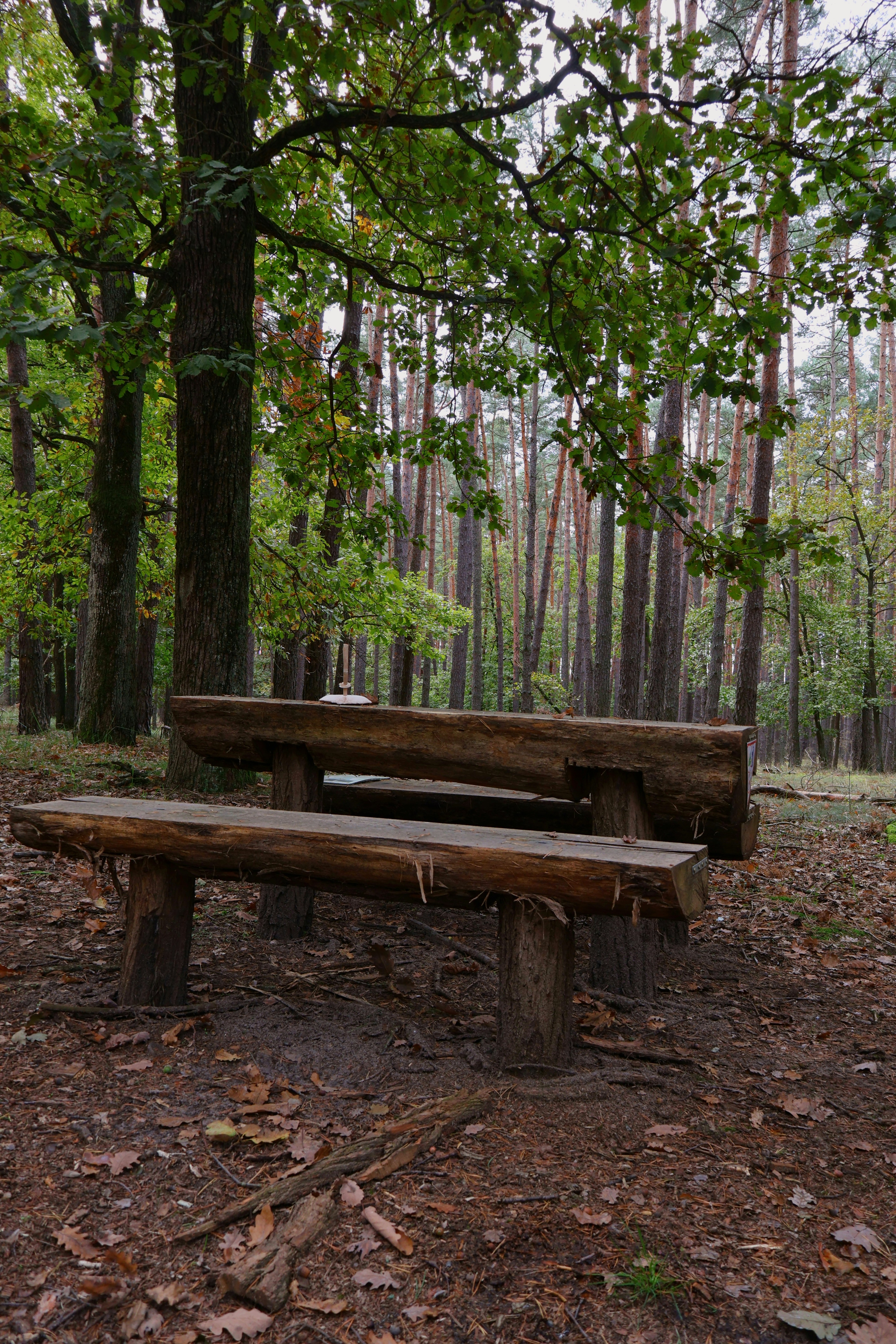 Photo by martin_lednar