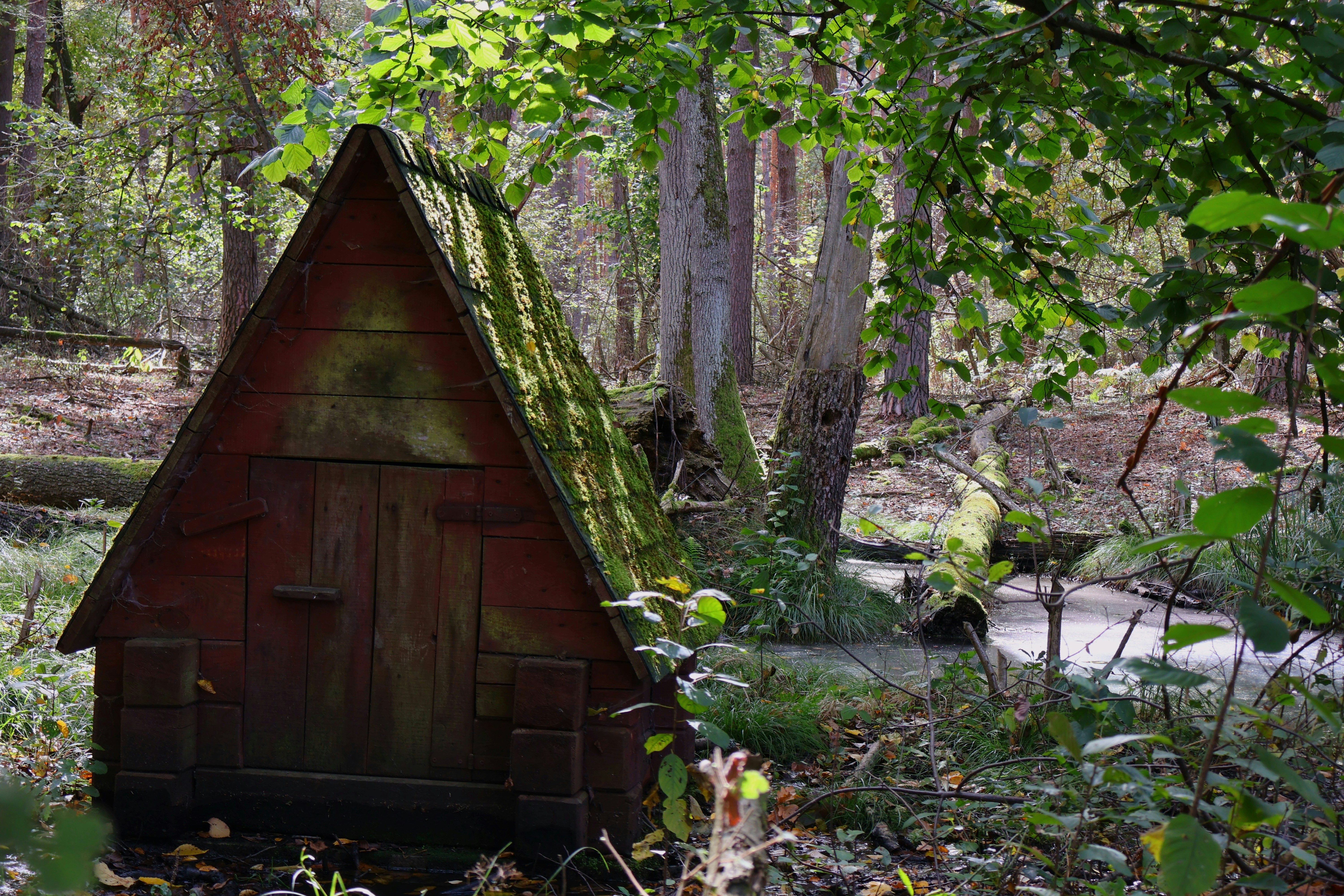 Photo by martin_lednar