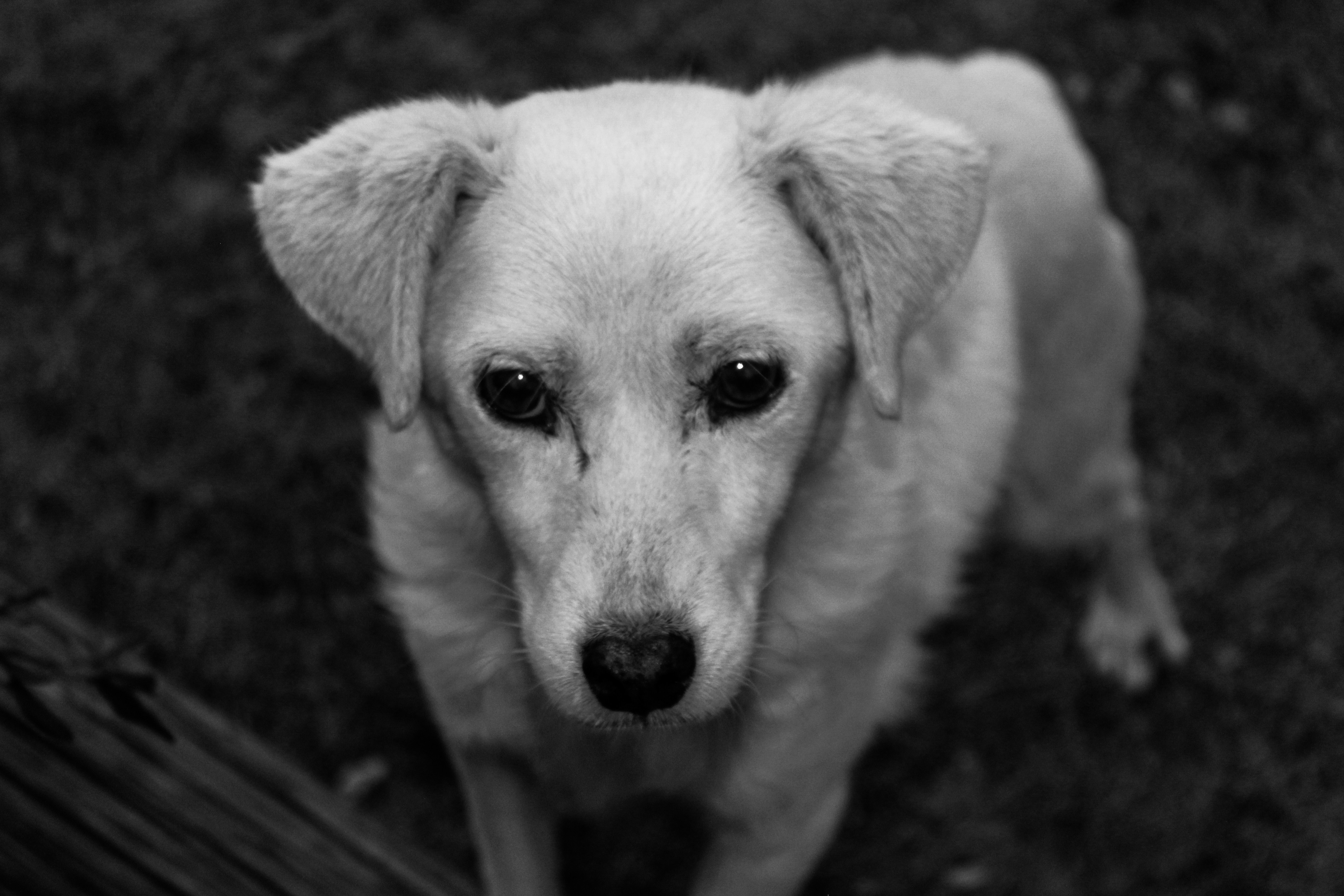 Photo by thalittlemarc