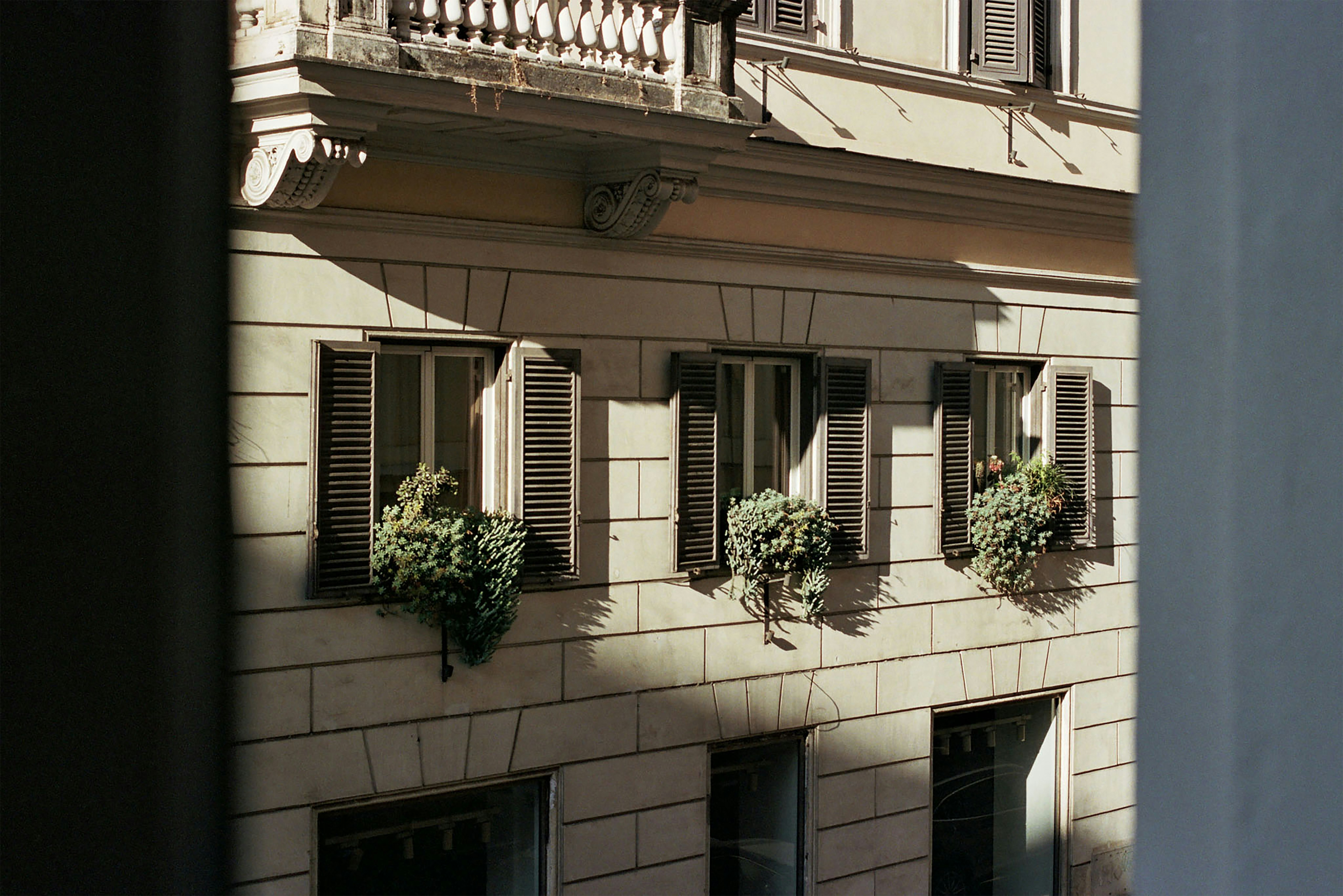 Photo by imgavinwilson